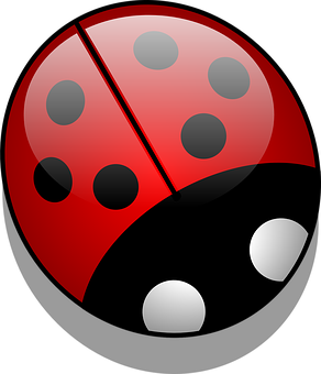 Ladybug Icon Graphic PNG