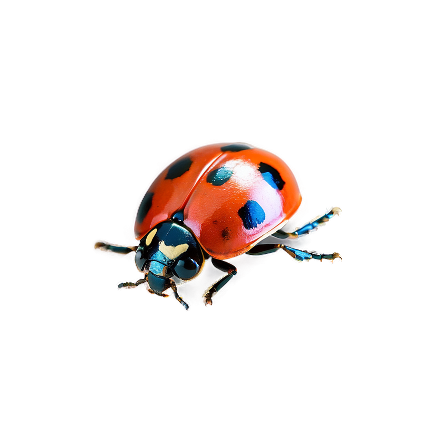 Ladybug Pattern Background Png Vsf PNG