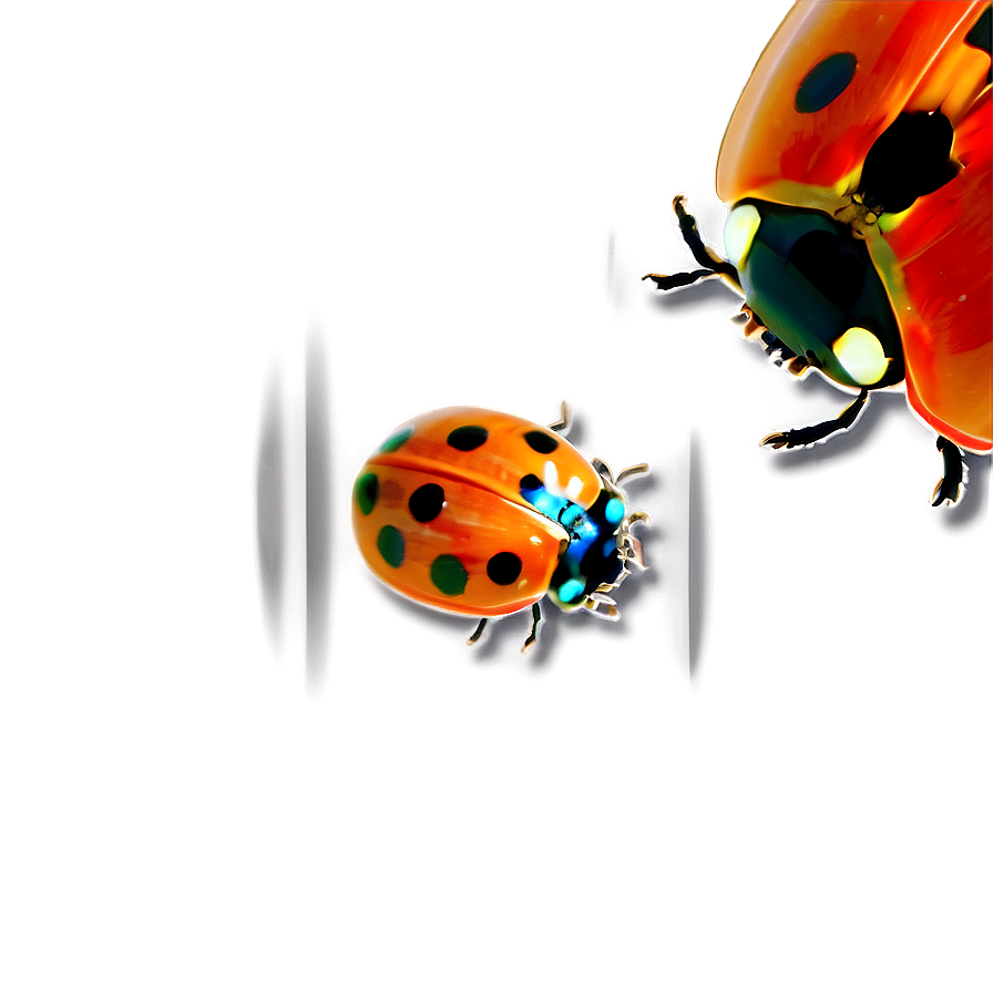 Ladybug Under Microscope Png 83 PNG