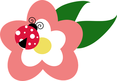 Ladybugon Flower Vector PNG