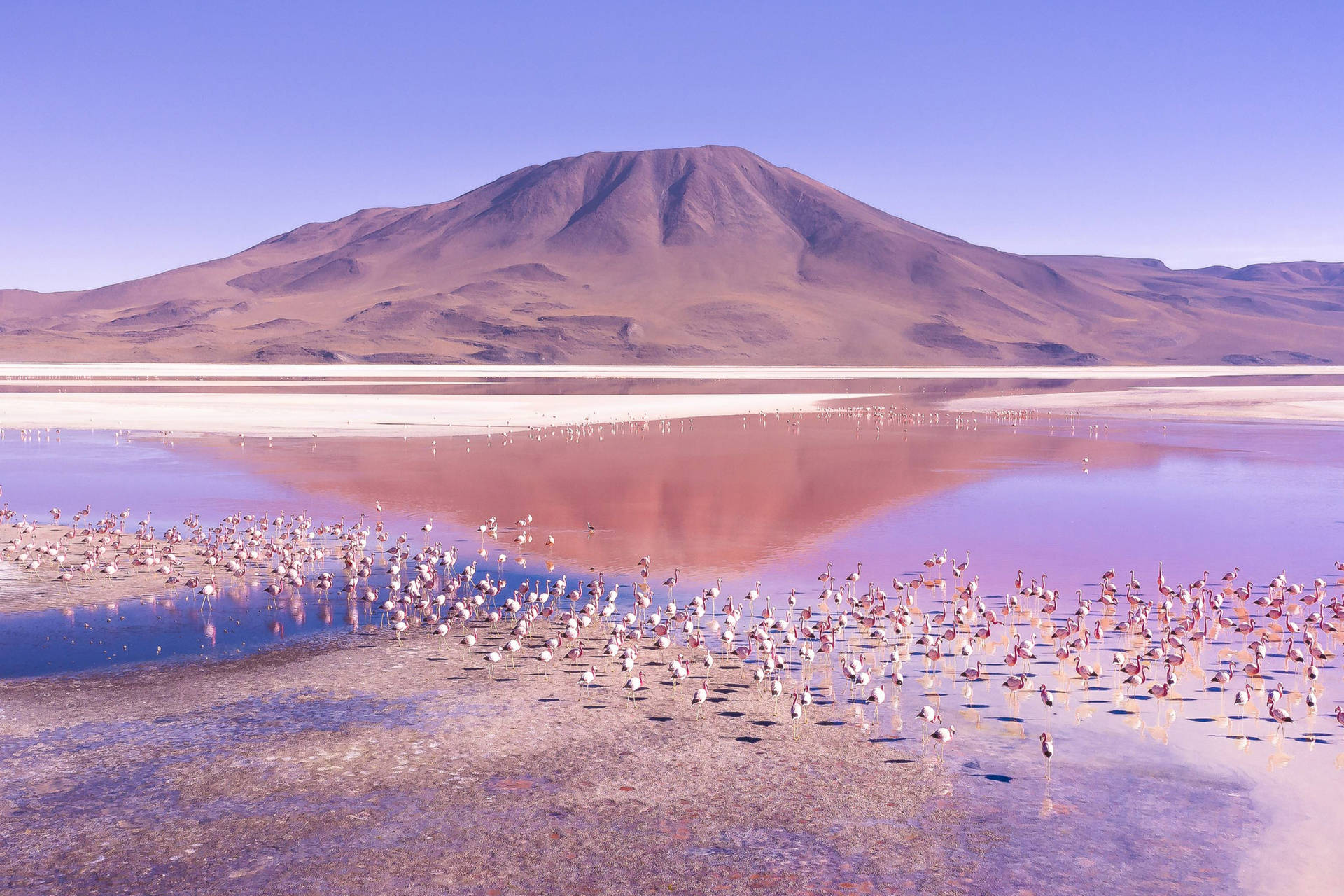 Laguna Colorada South America