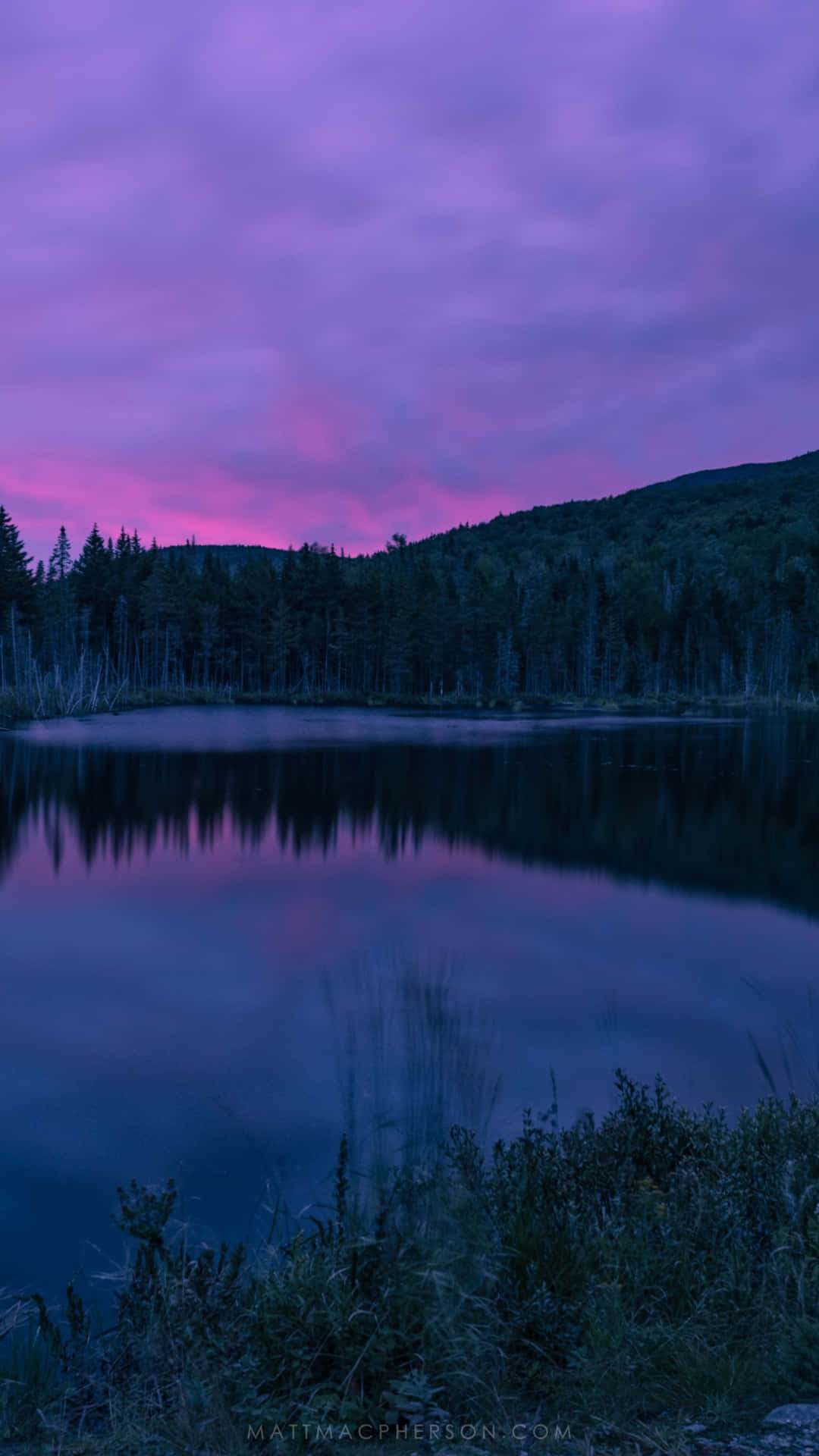 Lagoy Árboles Bajo Un Cielo Púrpura Al Atardecer. Fondo de pantalla