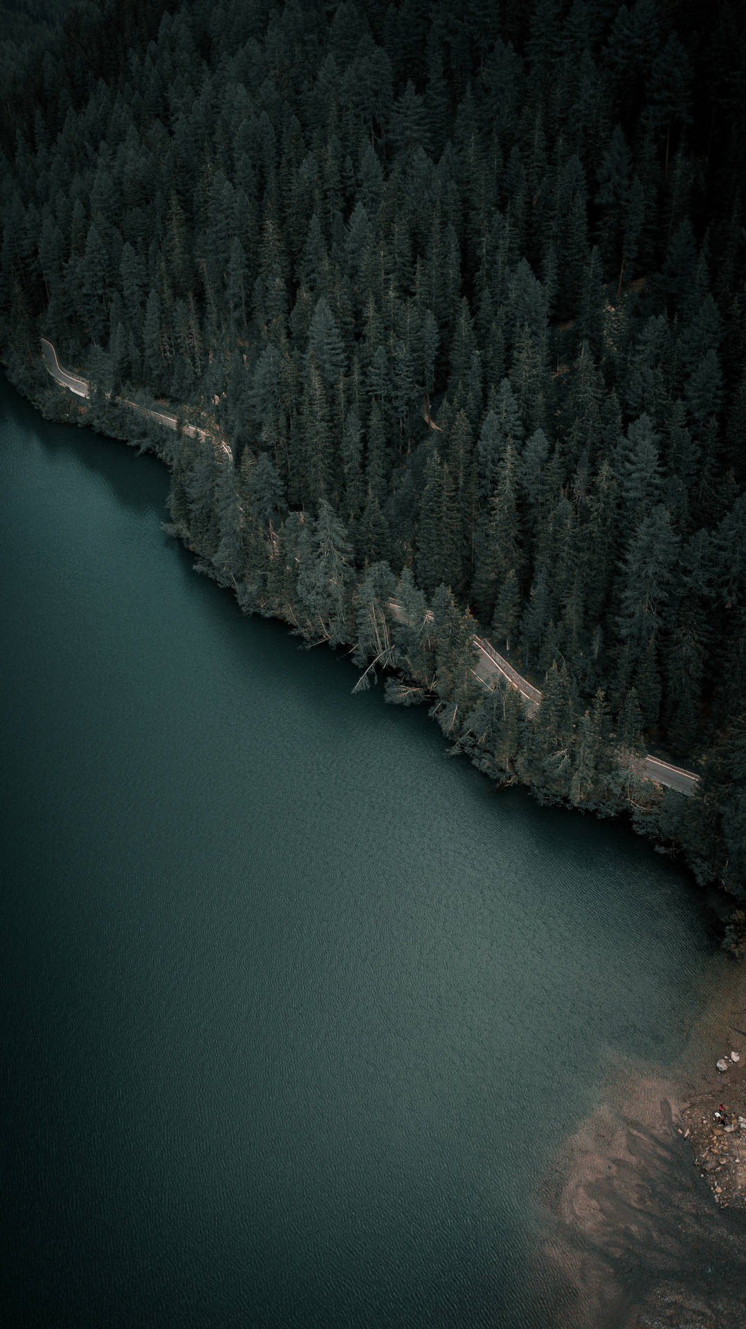 Lake Beside Dark Forest Iphone Wallpaper
