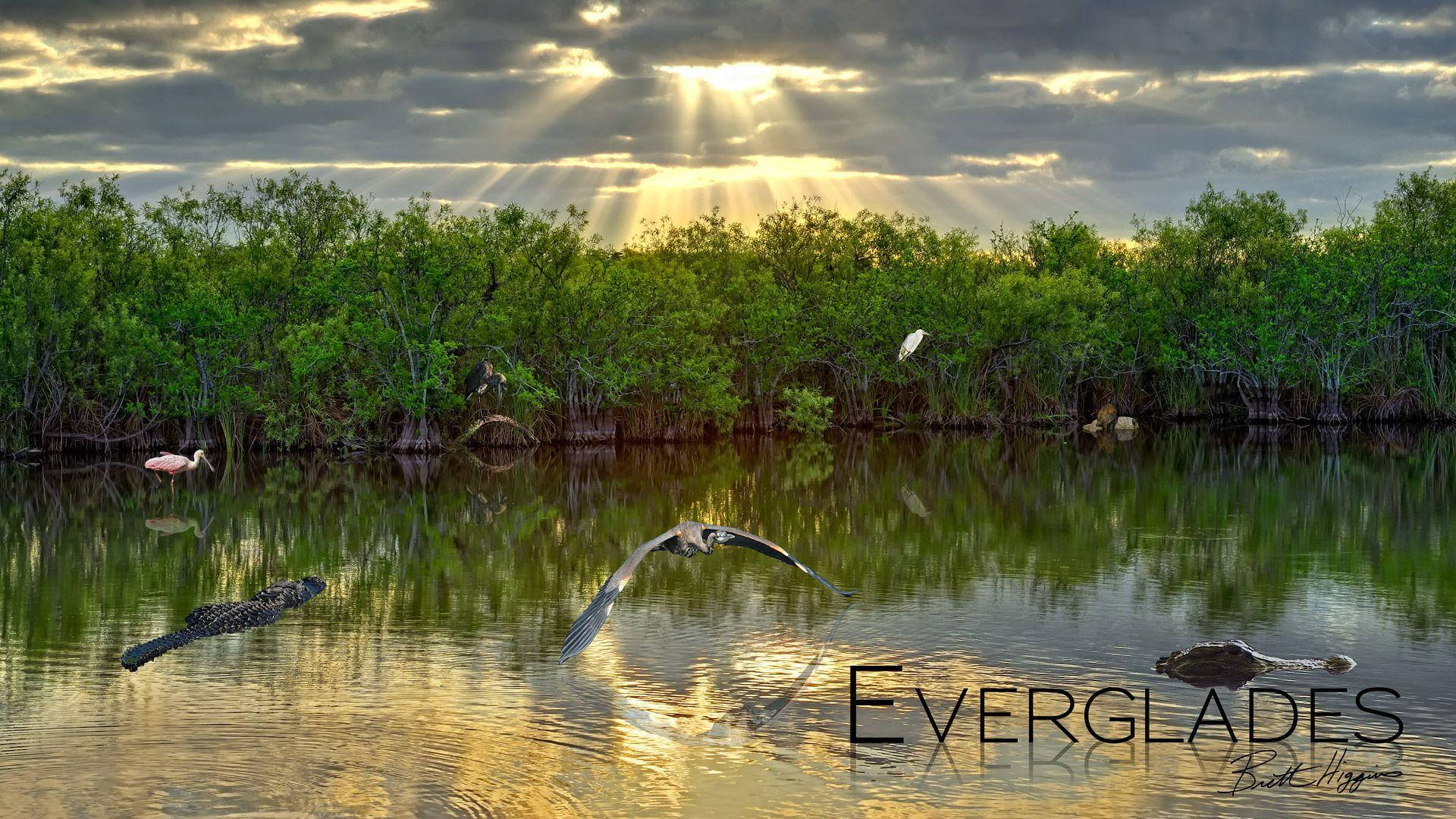 Lake Everglades National Park Picture