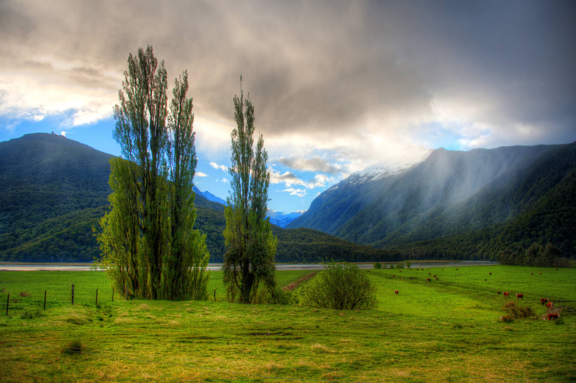 Lake Front Ranch In New Zealand Wallpaper