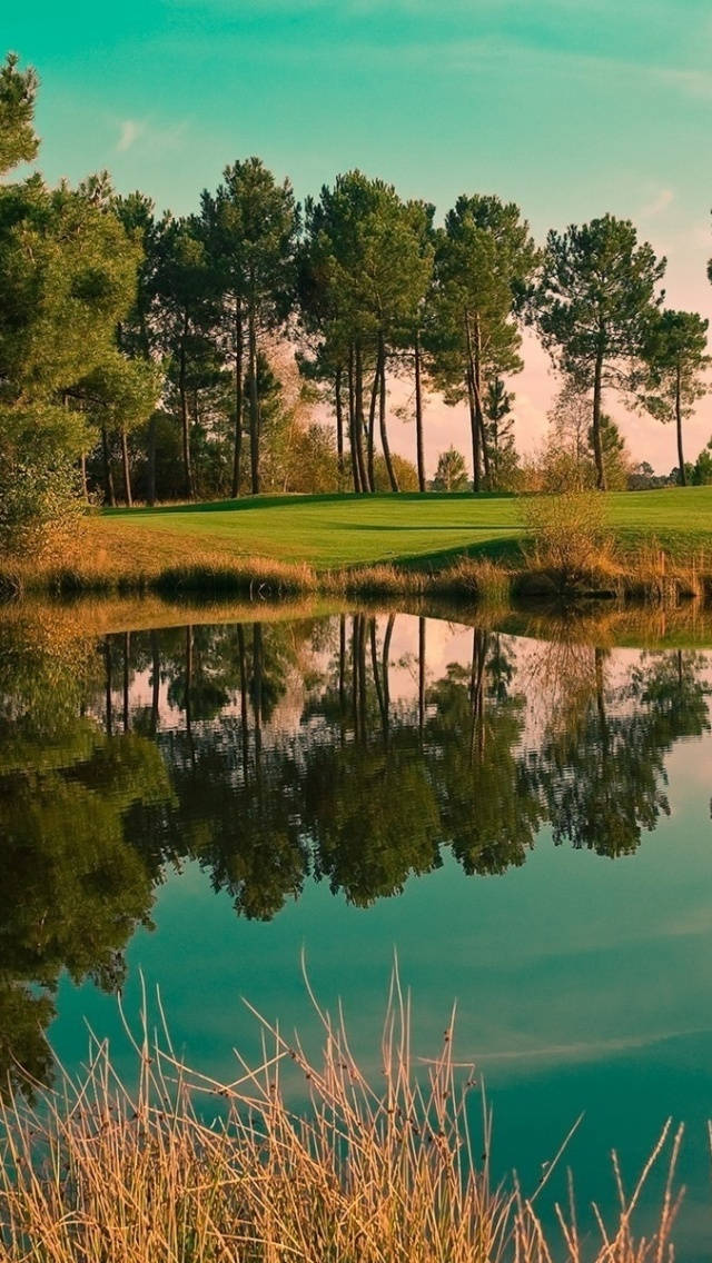 Lake In Golf Course Iphone Wallpaper