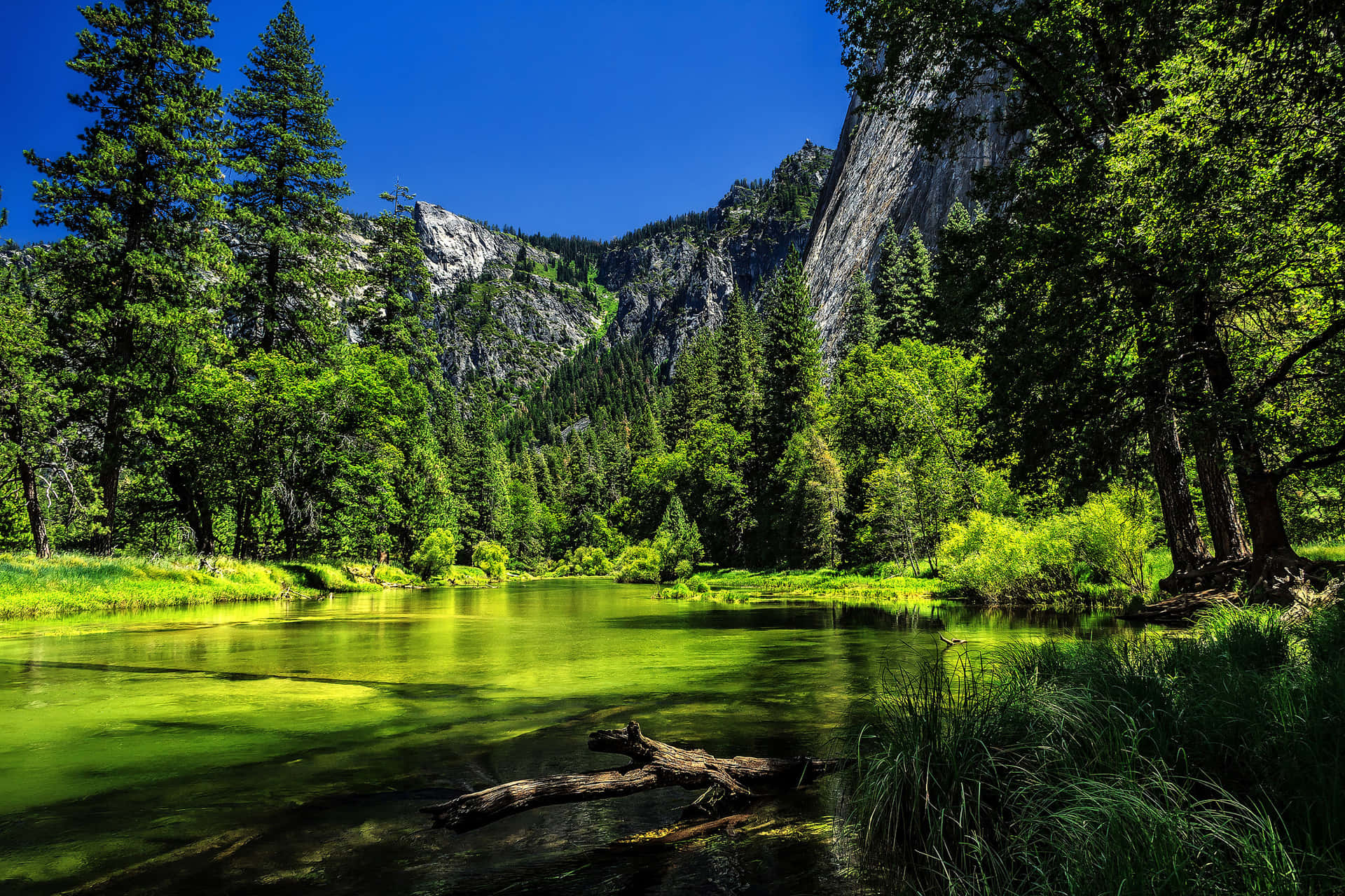 Lake In Yosemite National Park Wallpaper