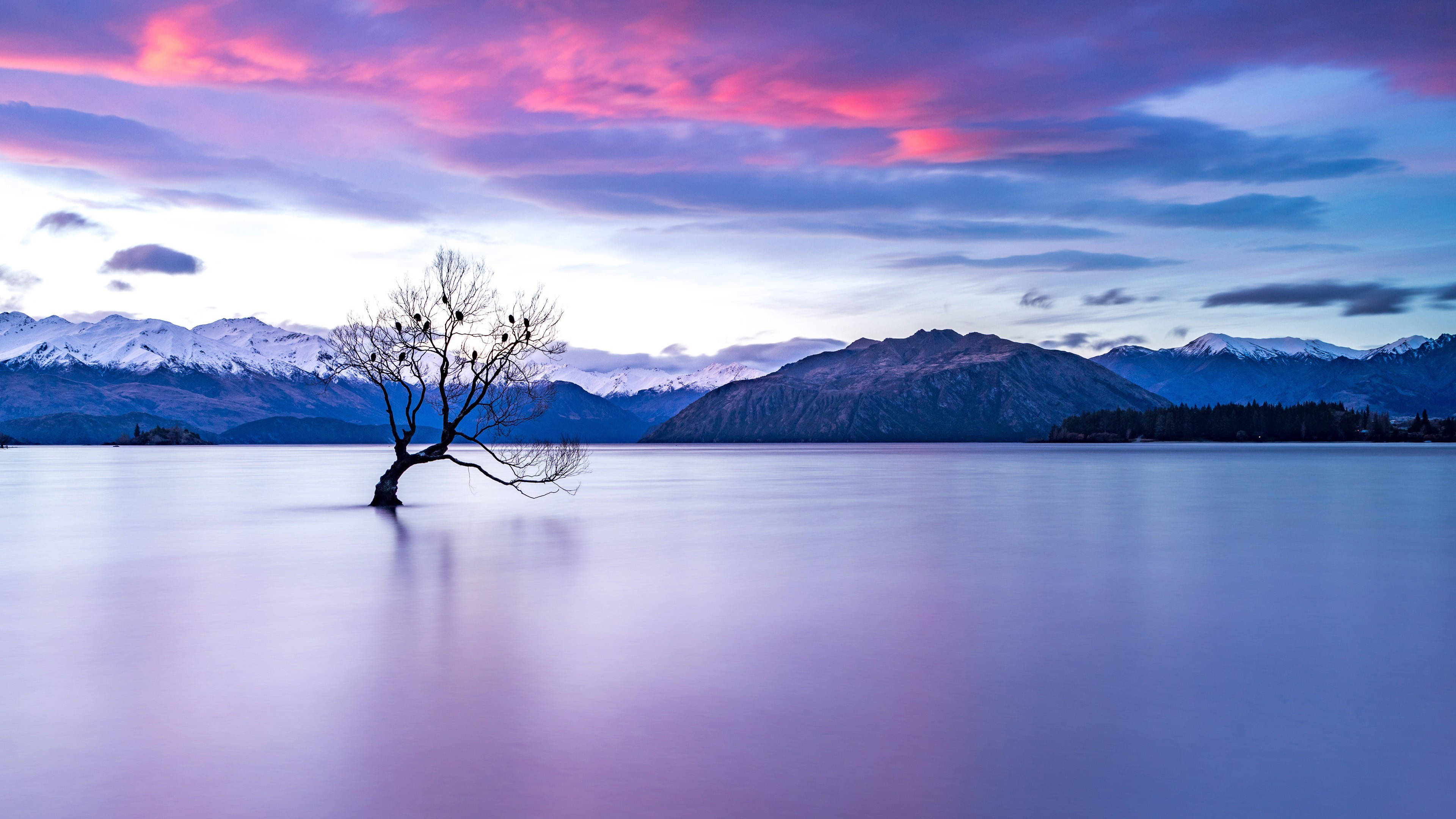 Lakewanaka En Nueva Zelanda, Un Hermoso Paisaje. Fondo de pantalla