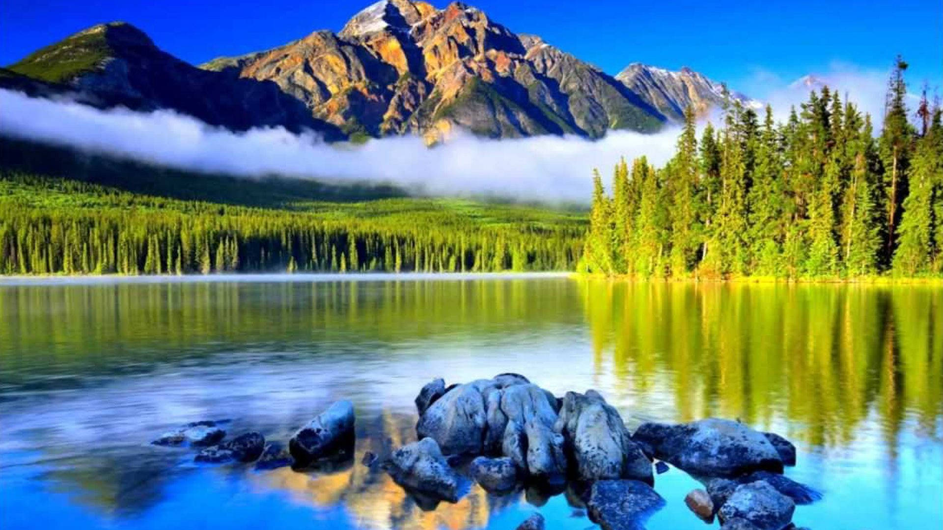 Lake With Forest View Wallpaper
