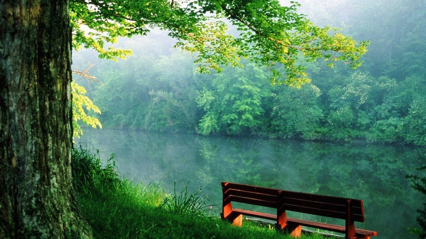 Lakeside bench nature desktop wallpaper.