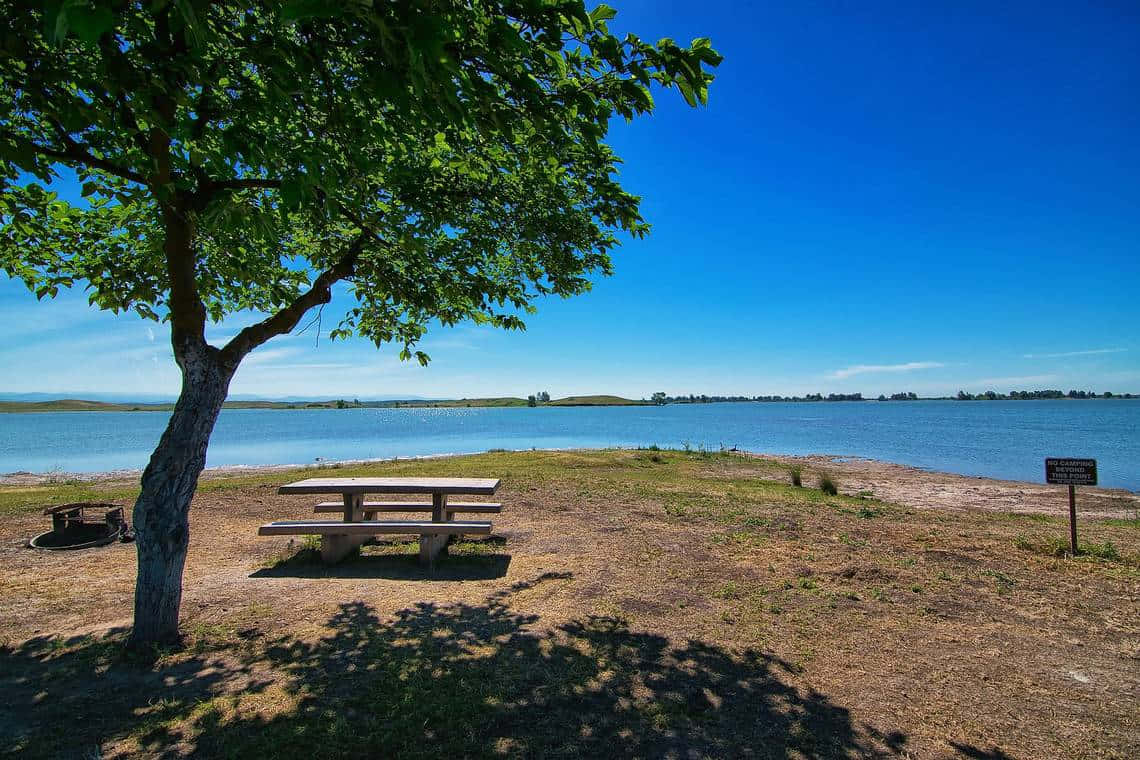 Lakeside Picnic Area Modesto Wallpaper