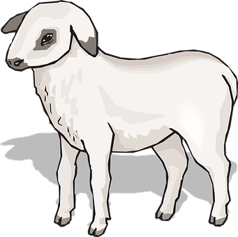 Lamb_ Illustration_with_ Shadow PNG