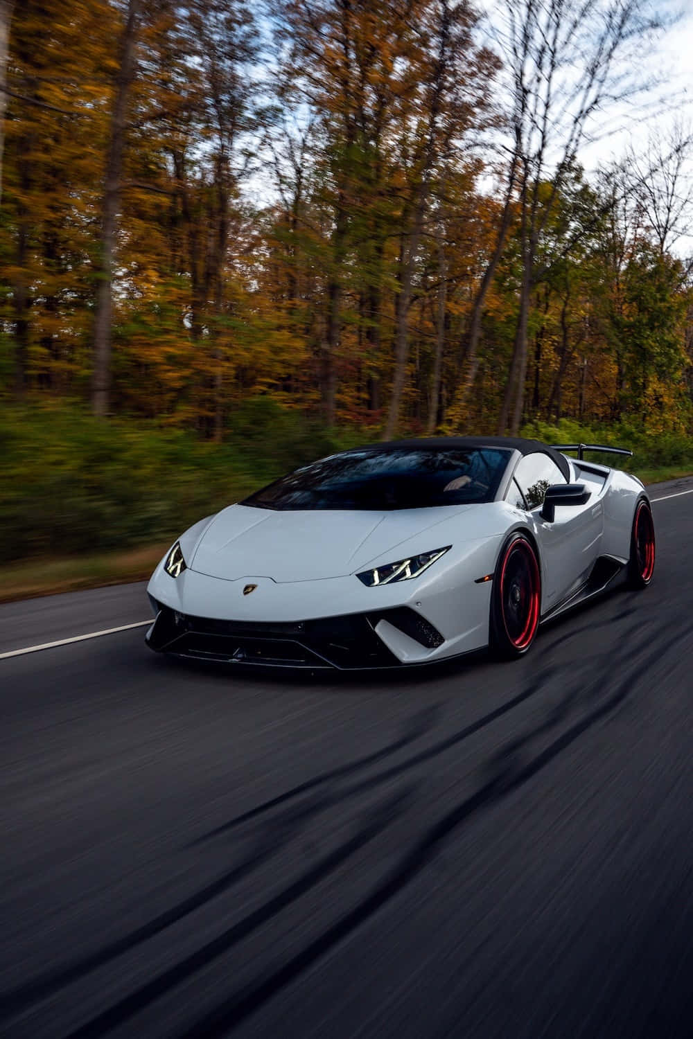 Caption: "elegance In Motion - Lamborghini Supercar"