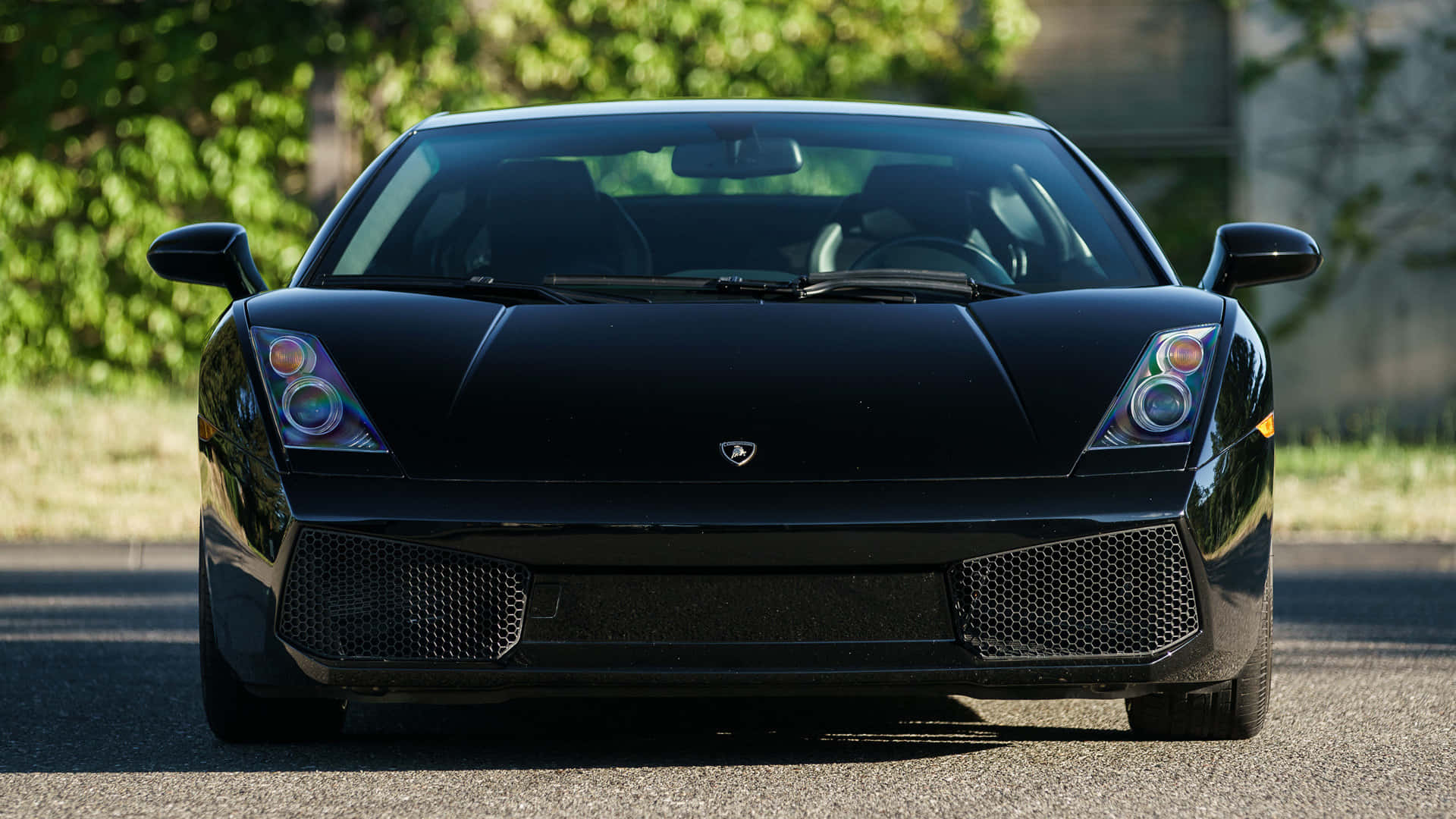 Sleek Lamborghini Gallardo in Motion Wallpaper