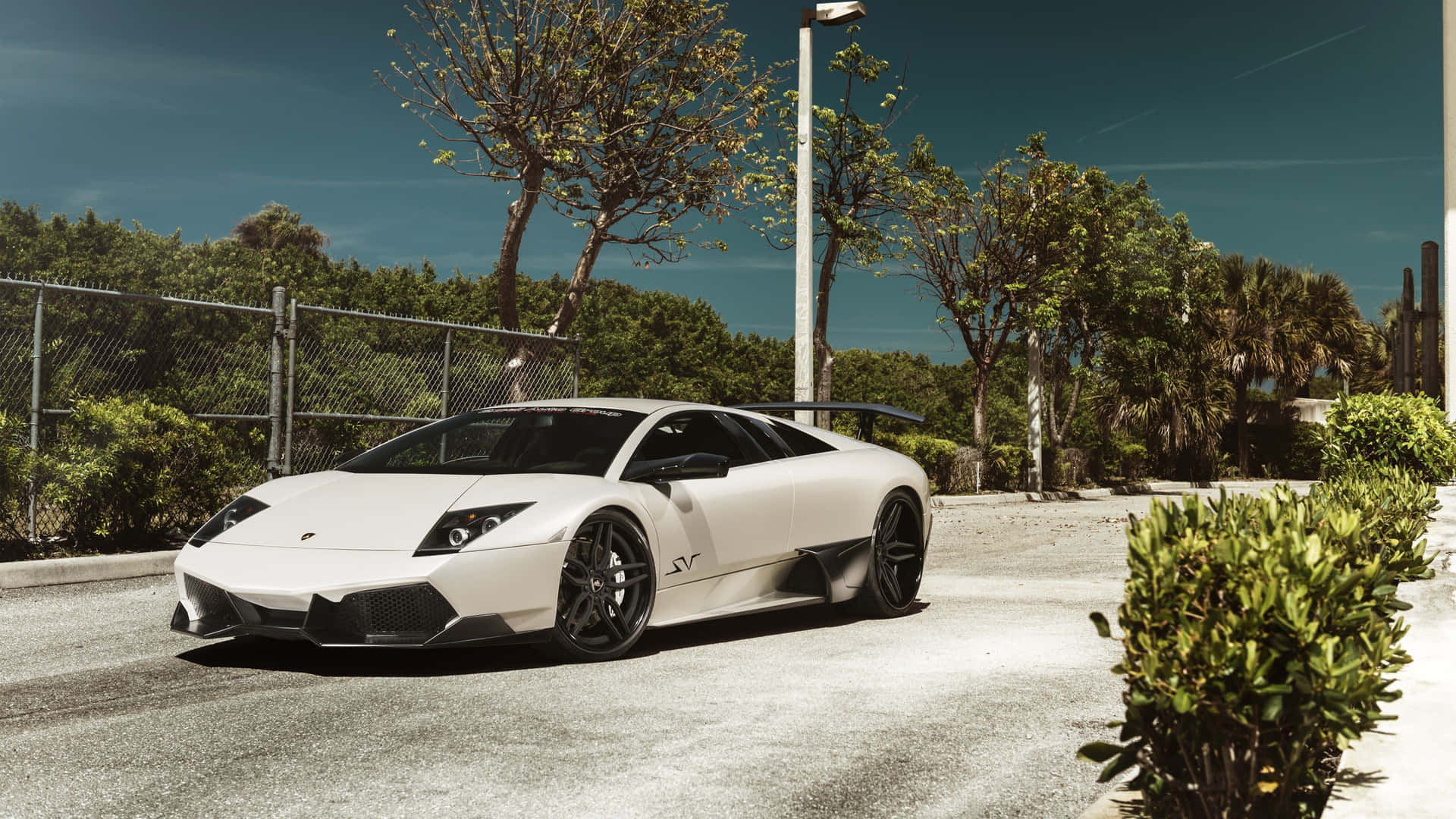 Lamborghini Murciélago in Captivating Landscape Wallpaper