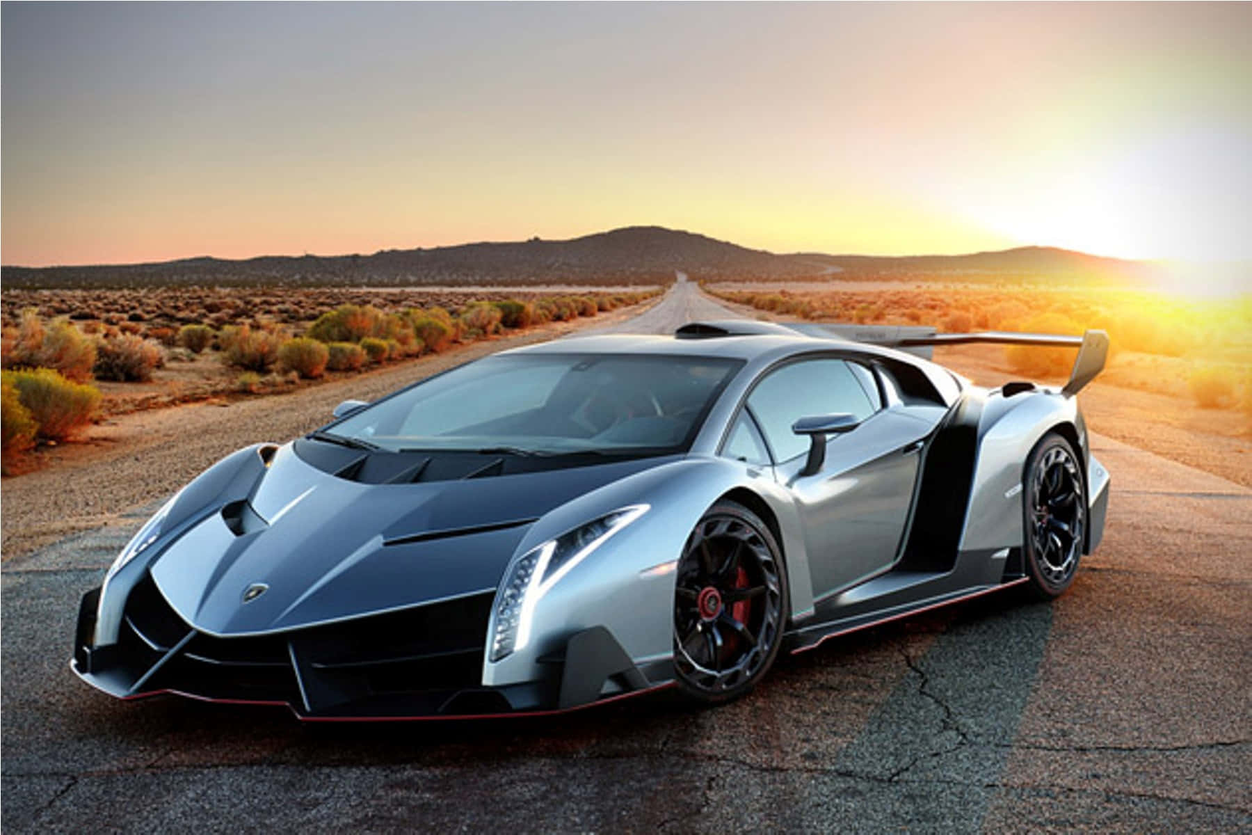 Sleek and Powerful Lamborghini Veneno on the Road Wallpaper