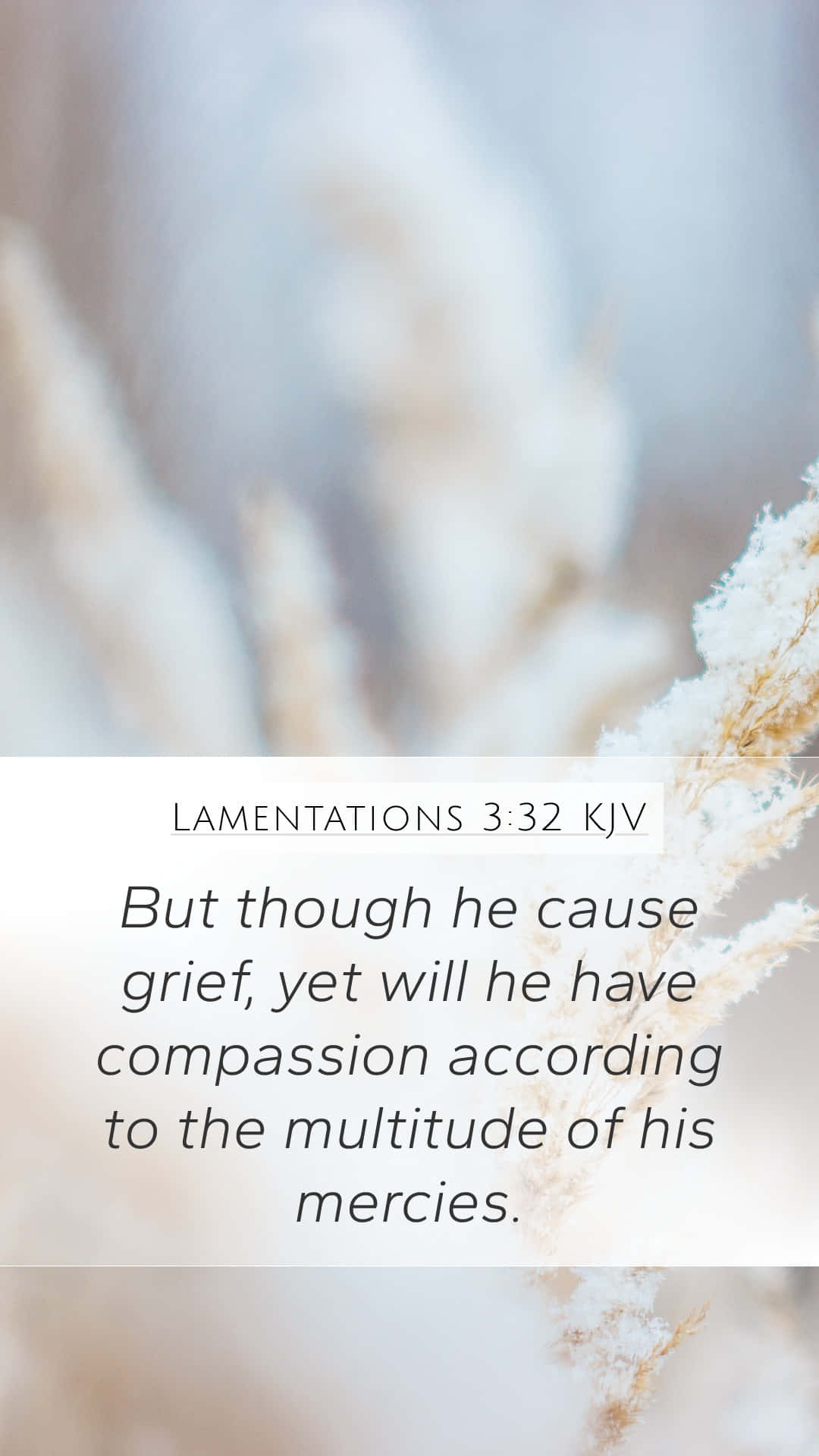 Lamentations332 Mercies Verse Wallpaper