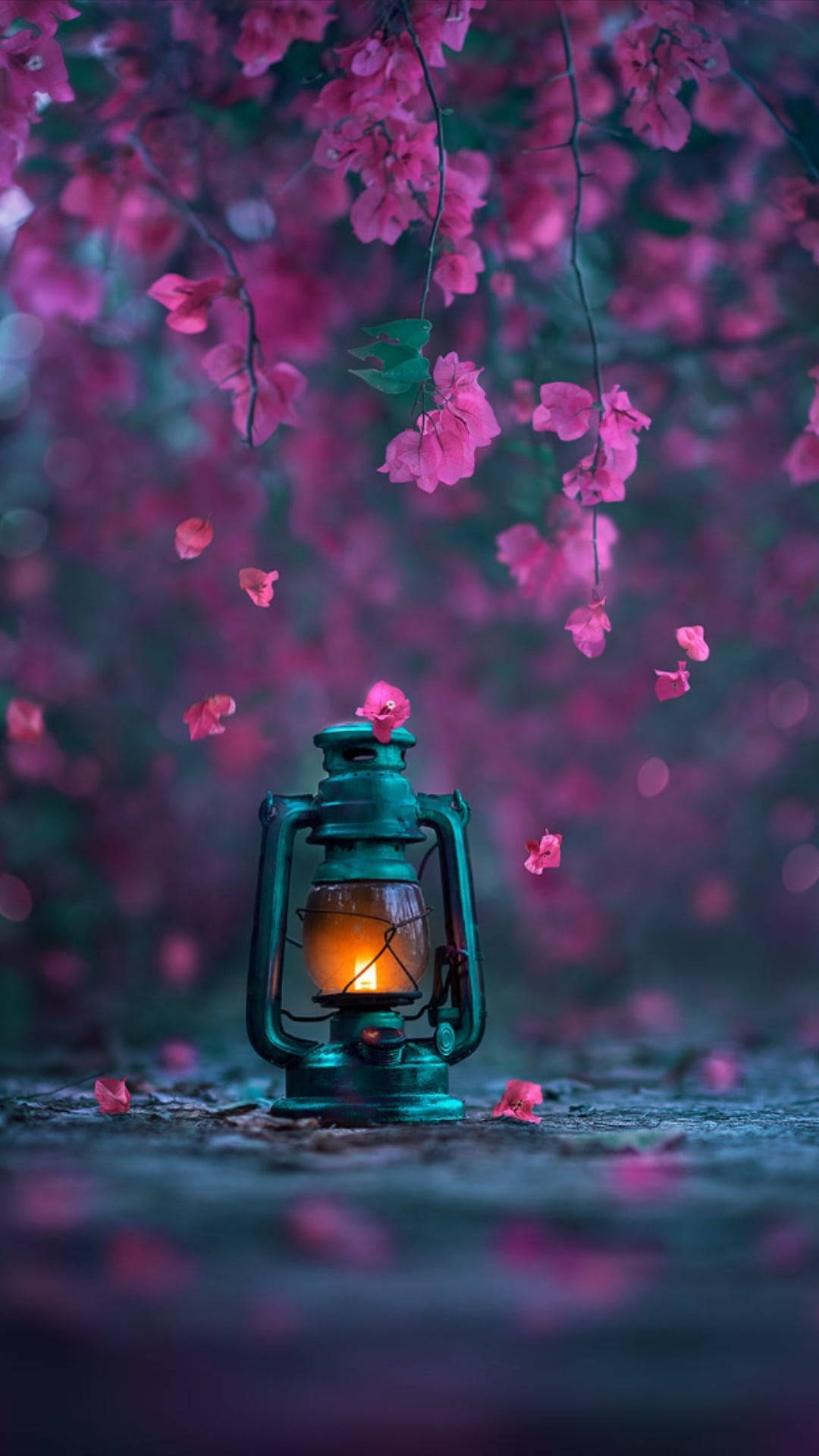 Download Lamp And Flower Mobile Wallpaper 