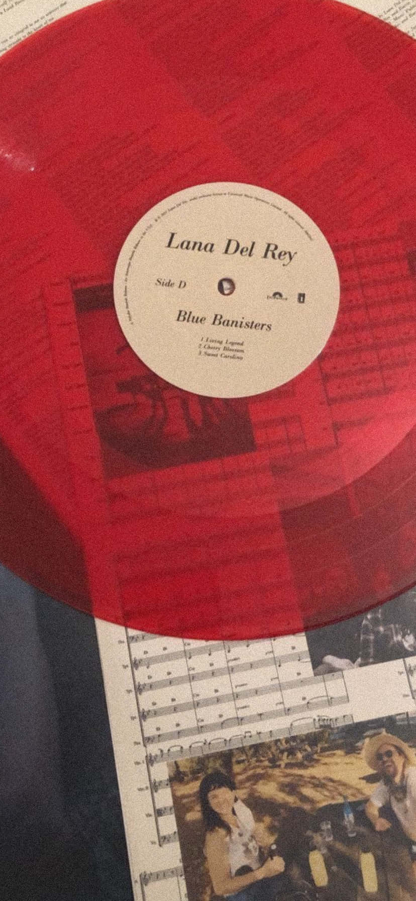 Lana Del Rey Blue Banisters Vinyl Wallpaper