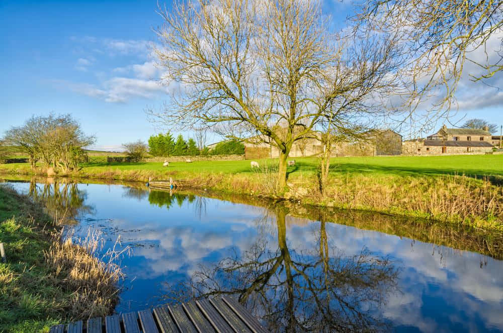Lancaster Countryside Pond Reflection Wallpaper
