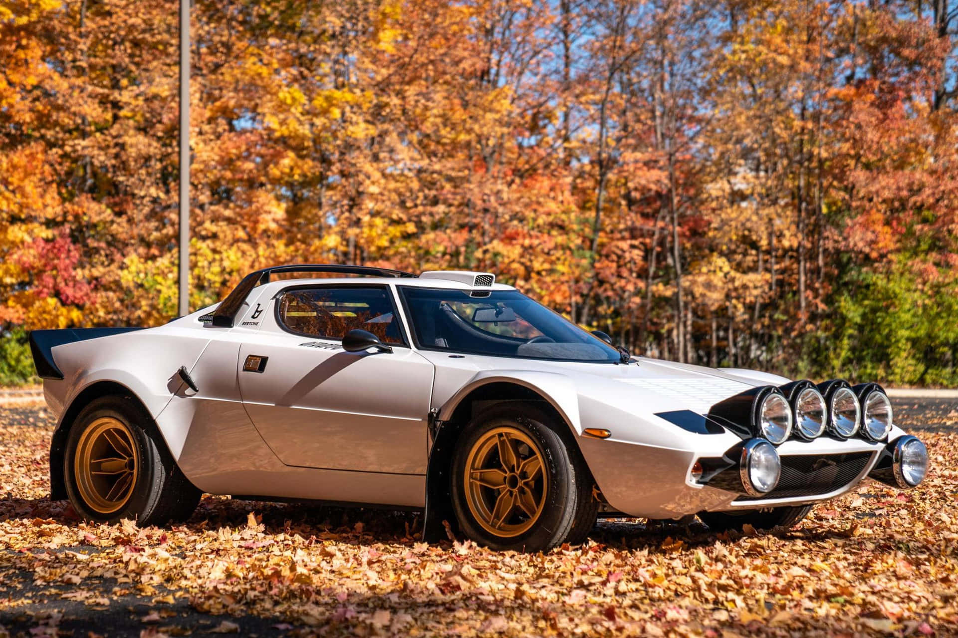 Lancia Stratos Herfstbladeren Achtergrond