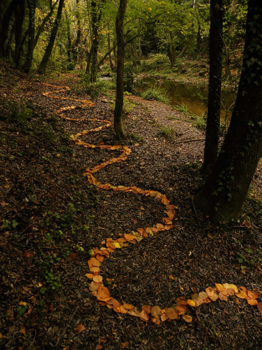 Adembenemende Creatie In Landkunst Achtergrond