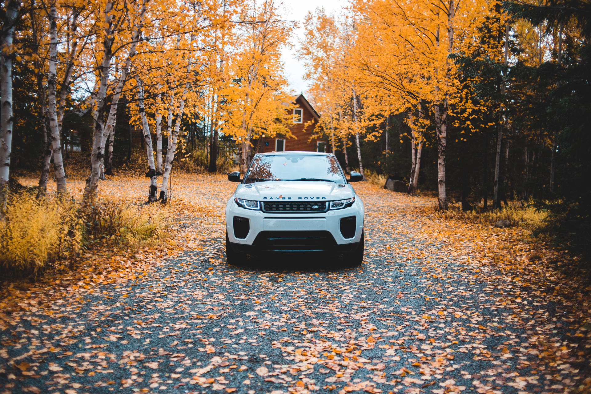 White Land Rover in autumn wallpaper.