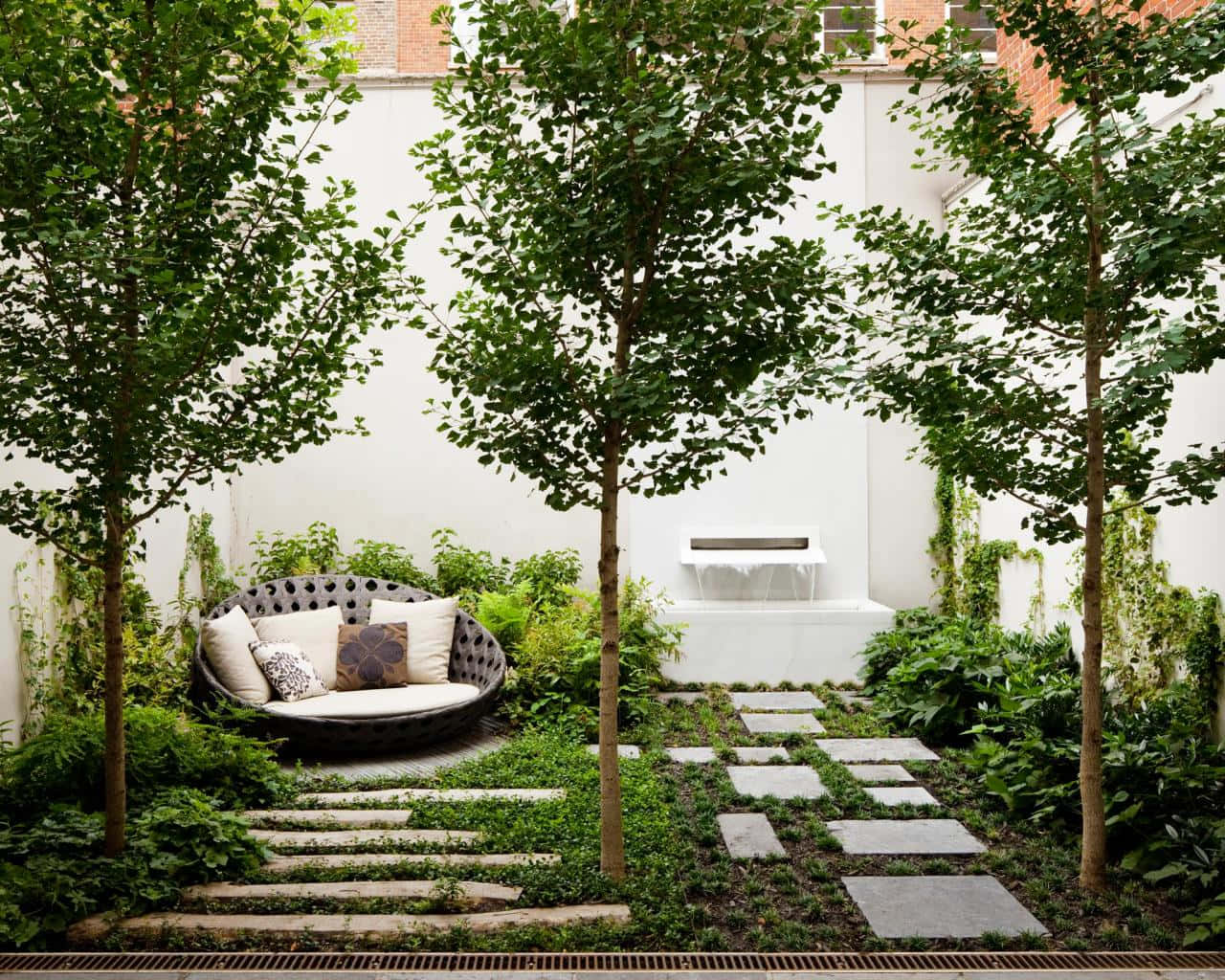 A Small Courtyard With A Tree And A Bench