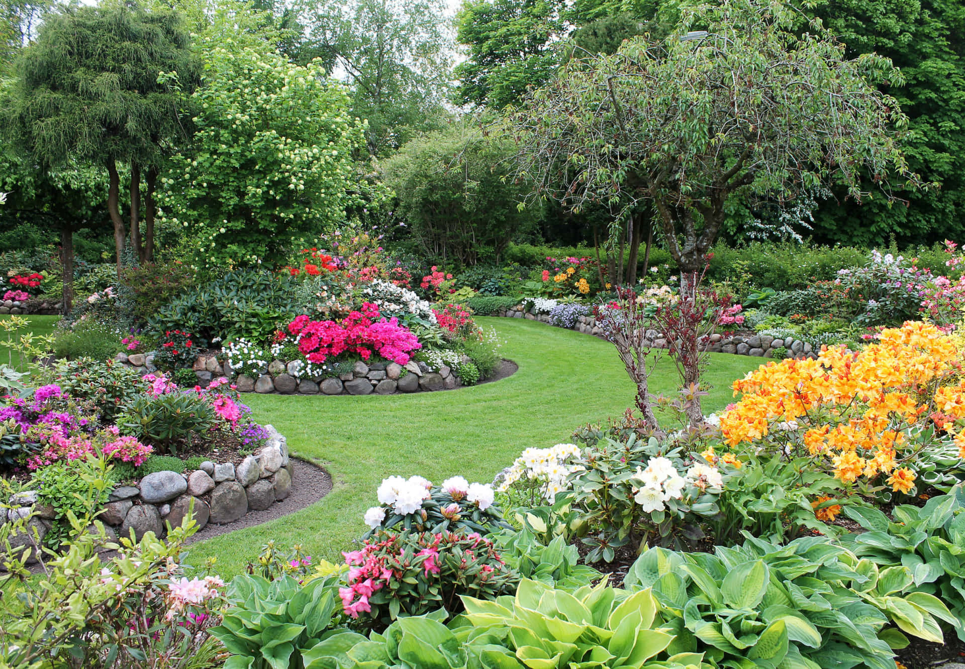 Enträdgård Med Många Färgglada Blommor Och Växter