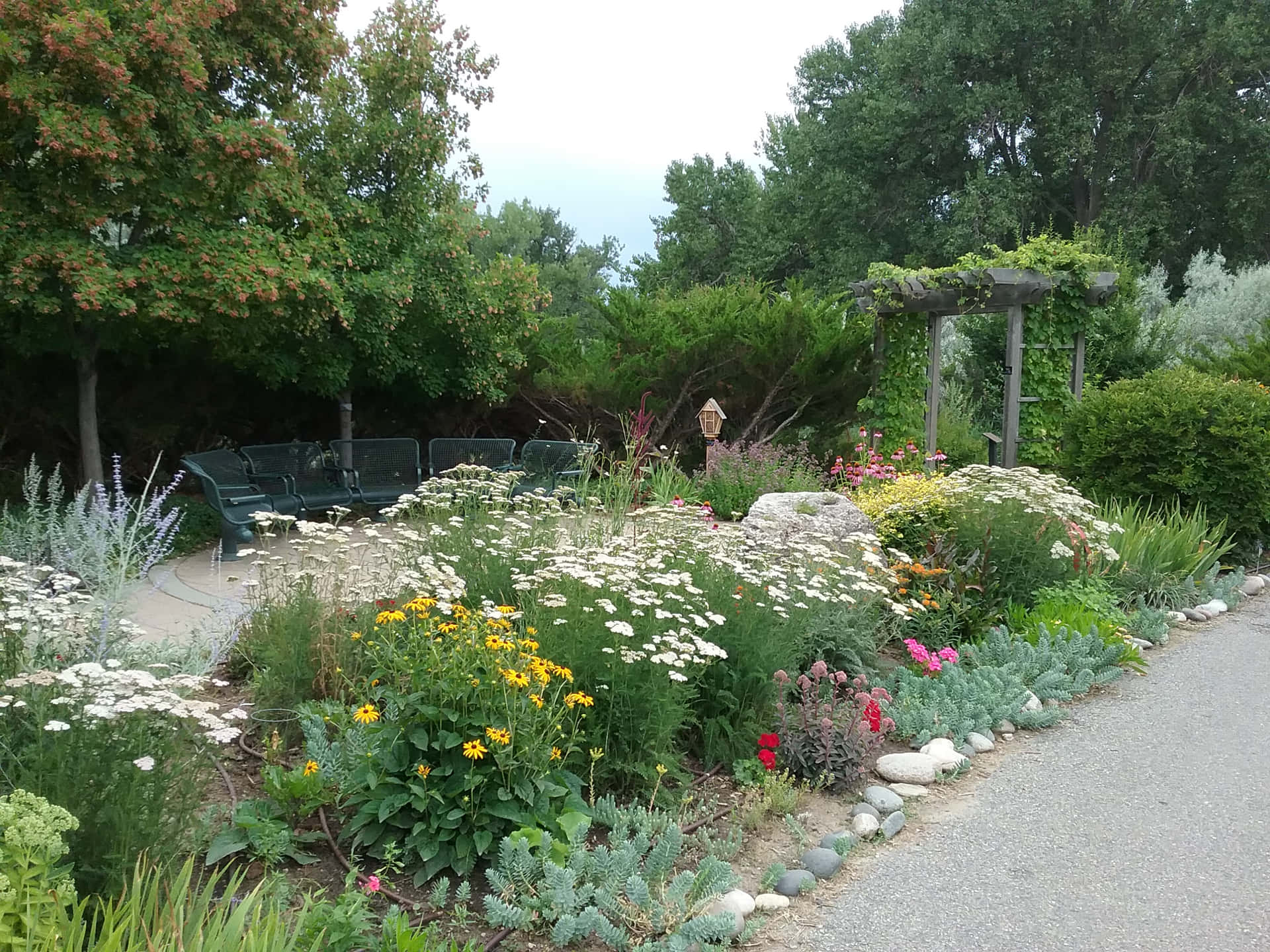 A Garden With Benches And Flowers