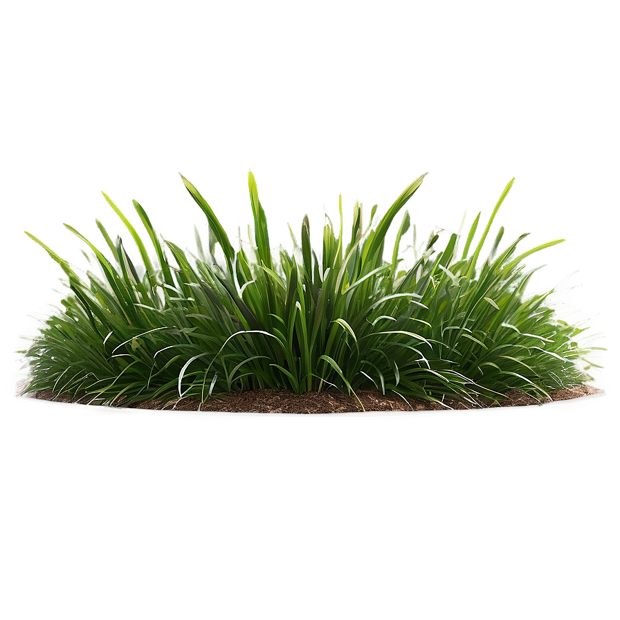 Landscape Grass Design Png 53 PNG
