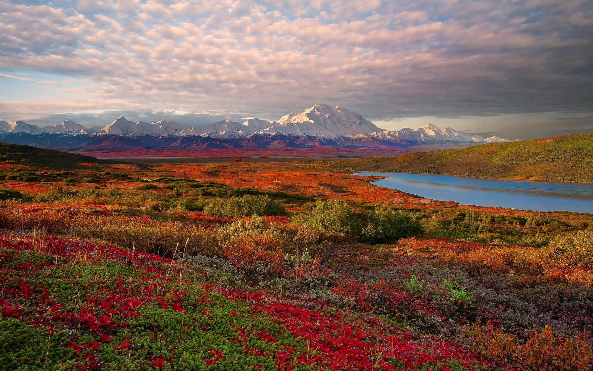 Landscape With Shrubbery Near Tundra Mountains Wallpaper