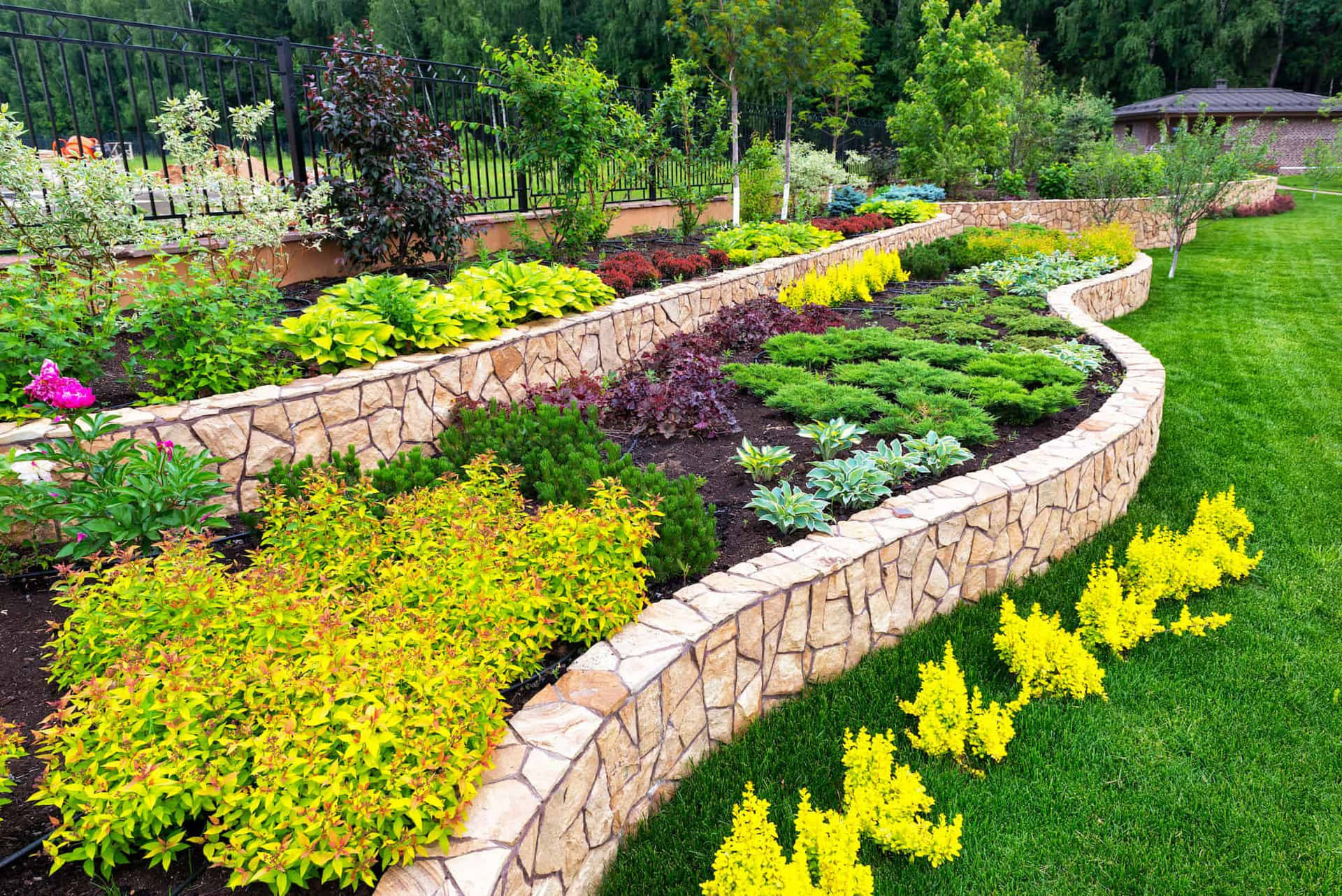 Curvy Yard Landscaping Picture