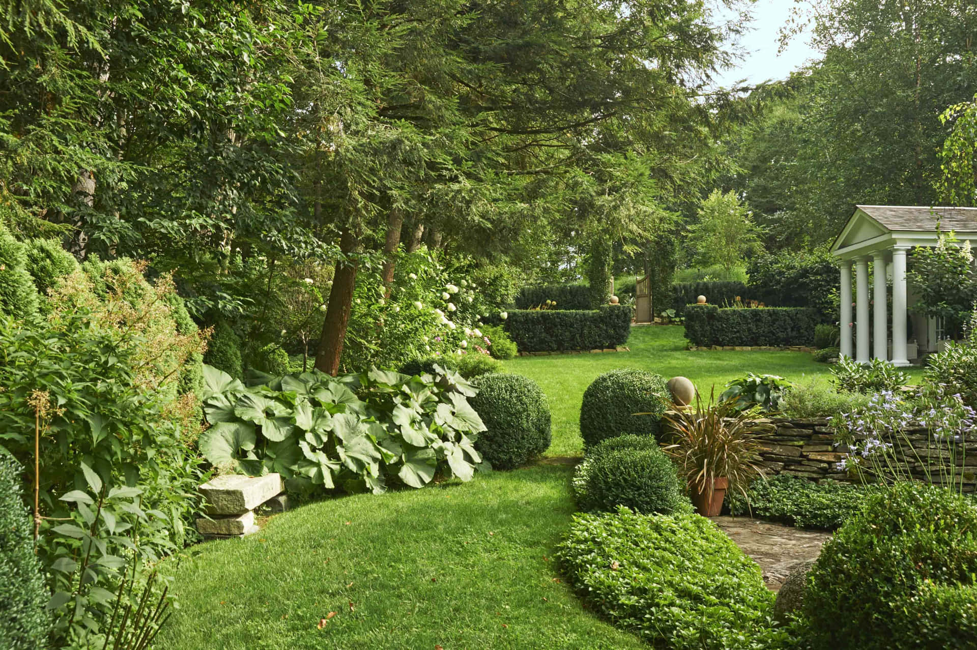 Captivating Expanse of Lush Greens: The Art of Landscaping