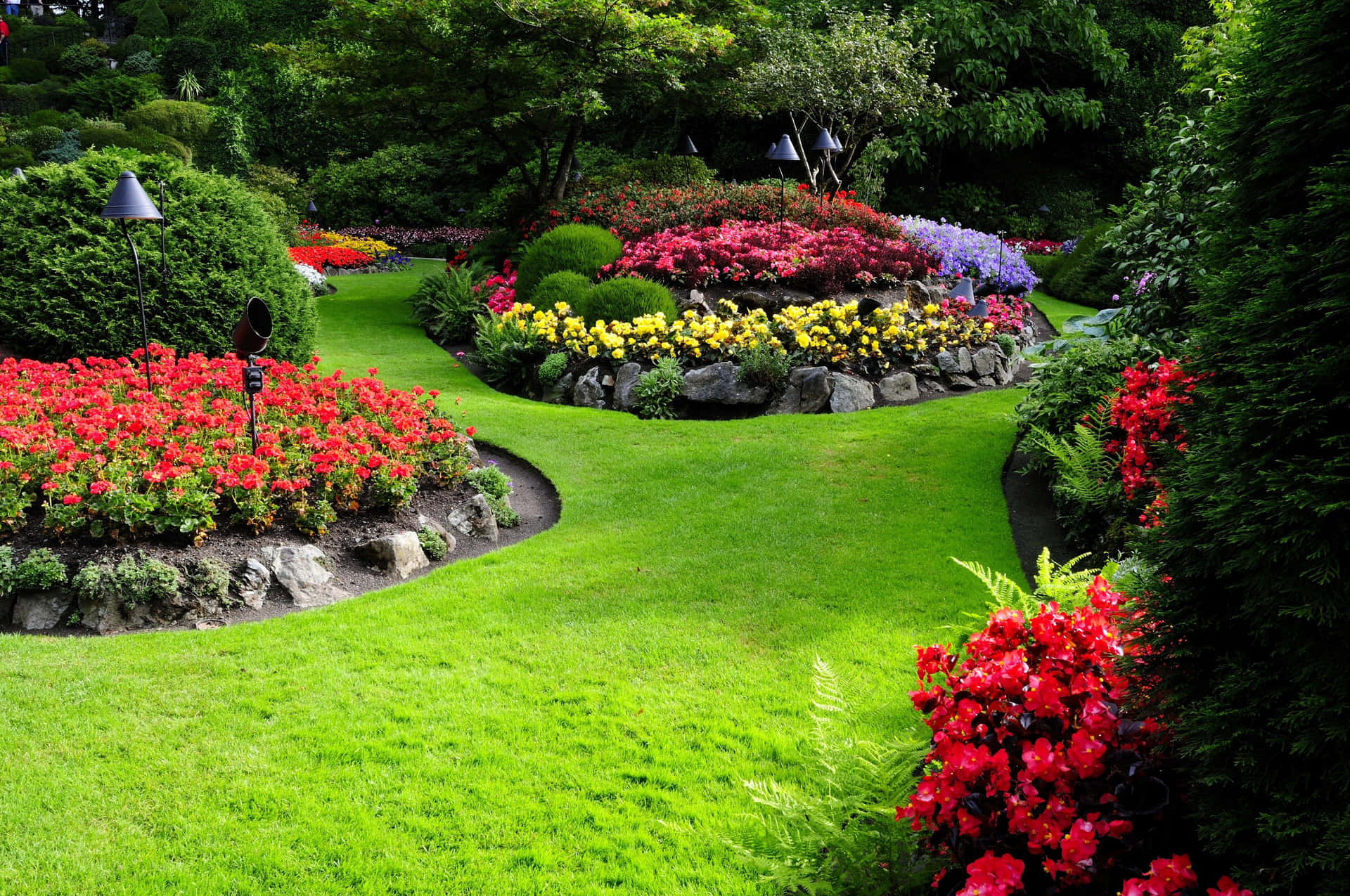 Blomsterträdgårdslandskapbilder