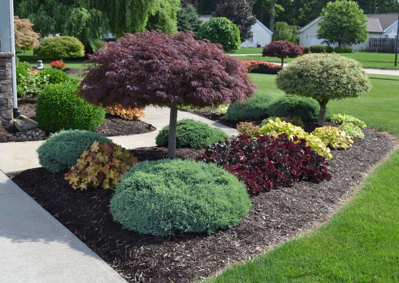 Beautiful Home Landscaped Garden
