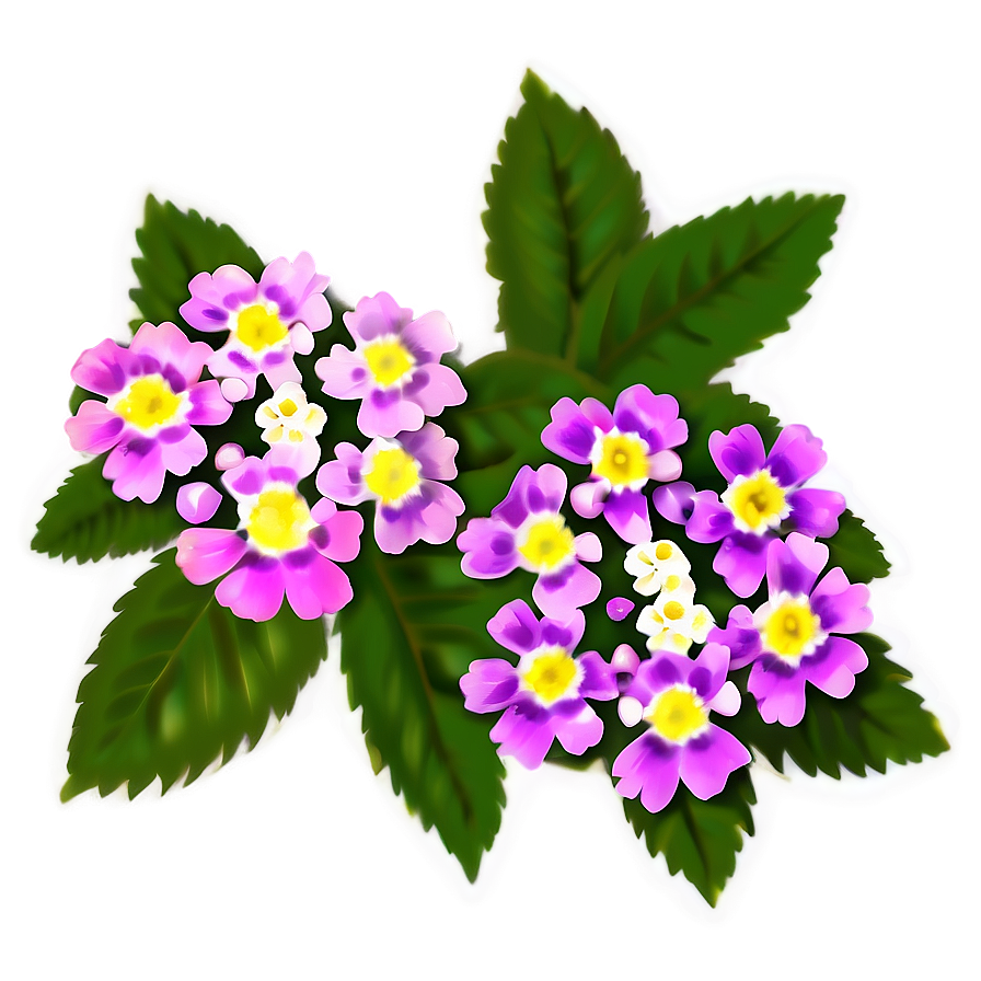 Lantana Flower Illustration Png 17 PNG