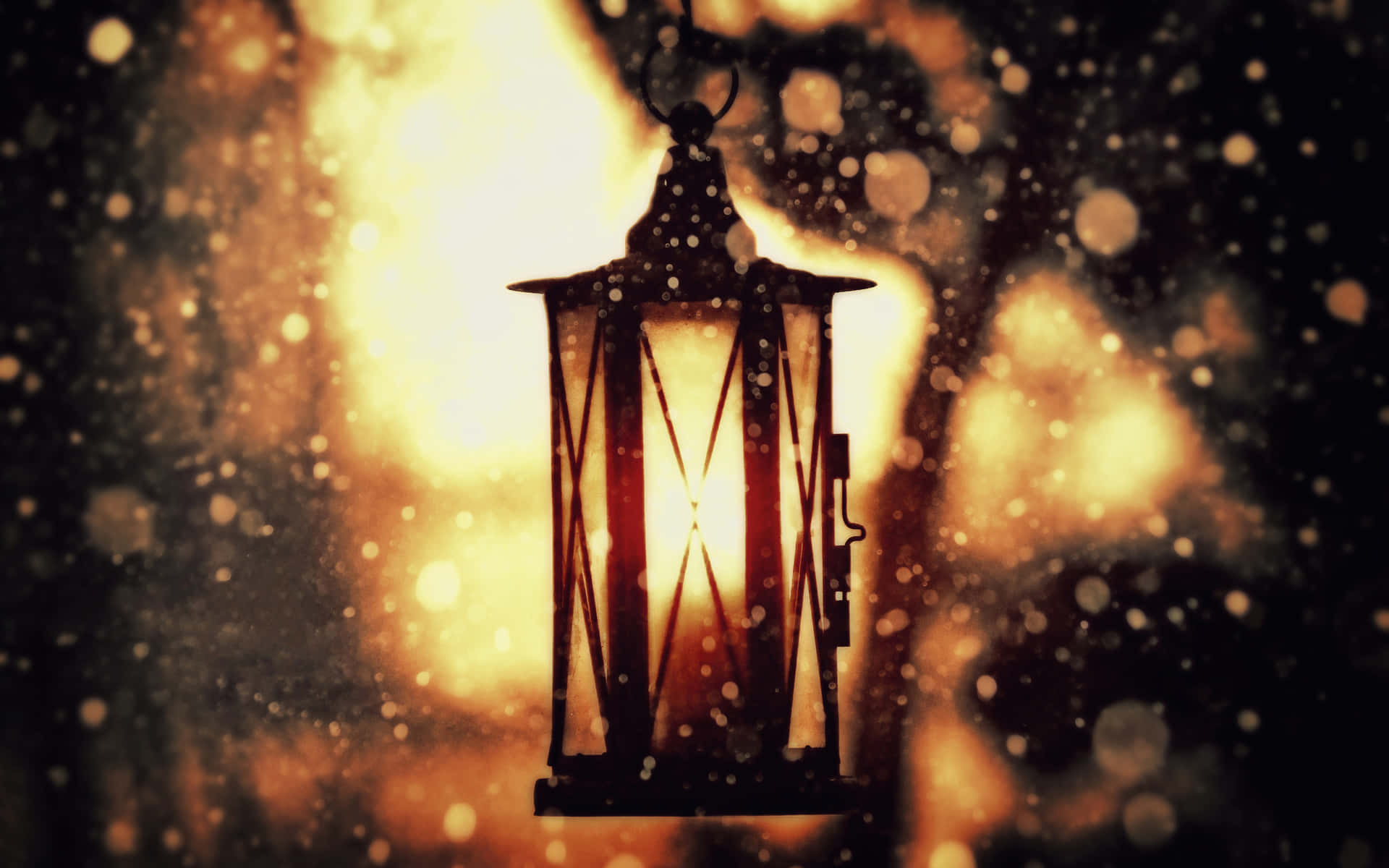 A glowing lantern illuminating the night