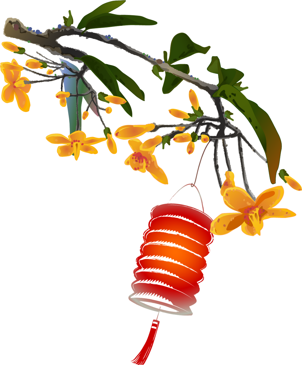 Lantern_ Amidst_ Orange_ Blossoms PNG