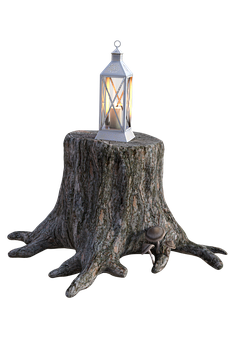 Lanternon Tree Stump PNG