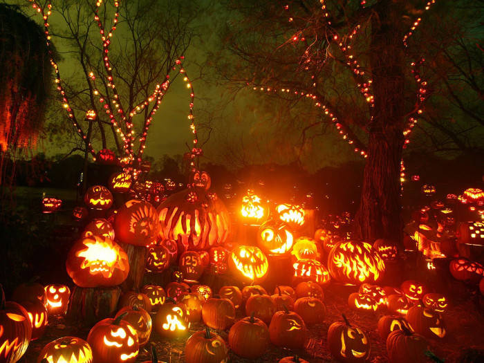 Lanterns Under Trees Fall Halloween Wallpaper
