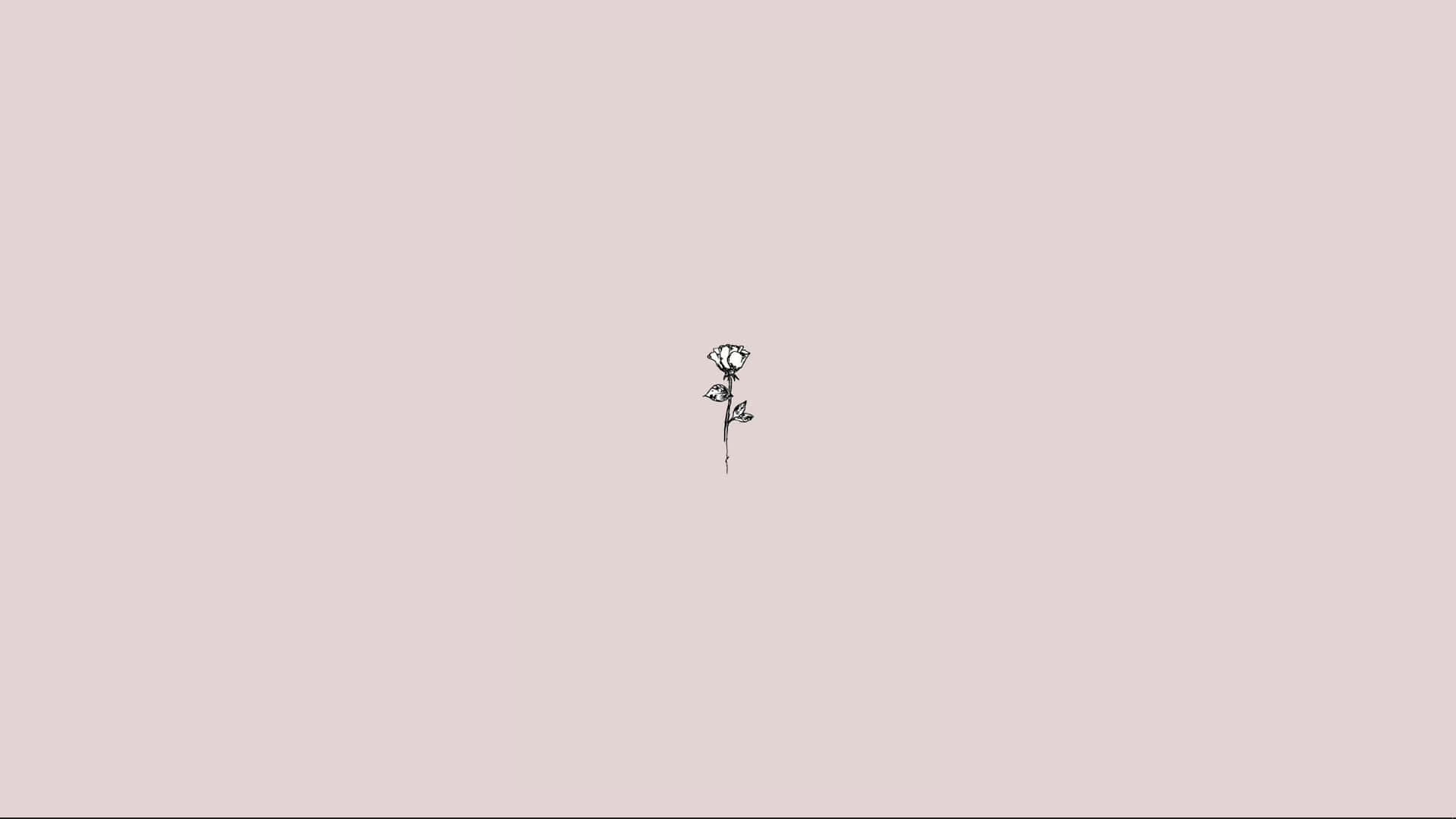 A Small Drawing Of A Flower On A Pink Background Wallpaper