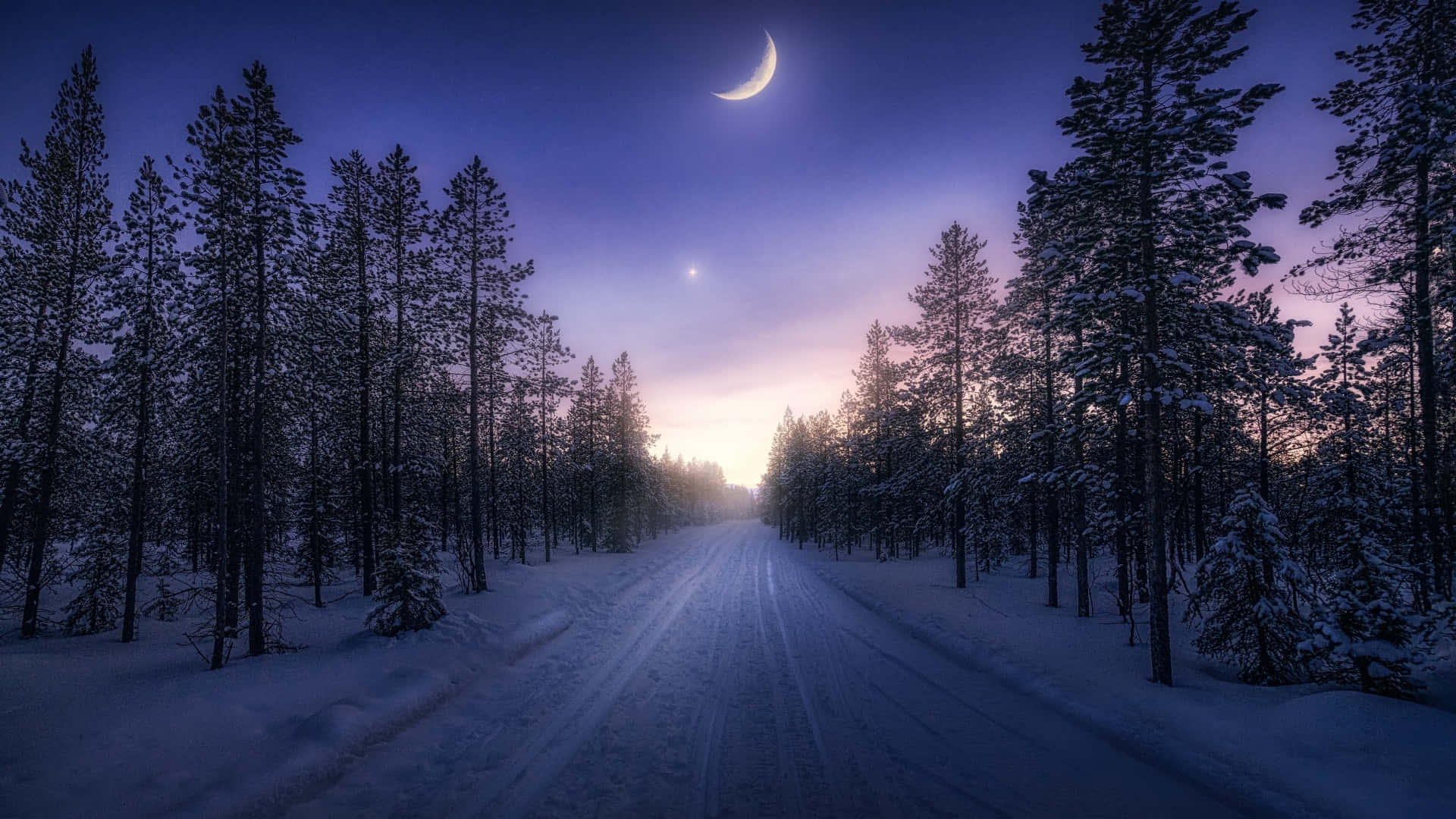 A Road With Trees And A Moon In The Sky Wallpaper