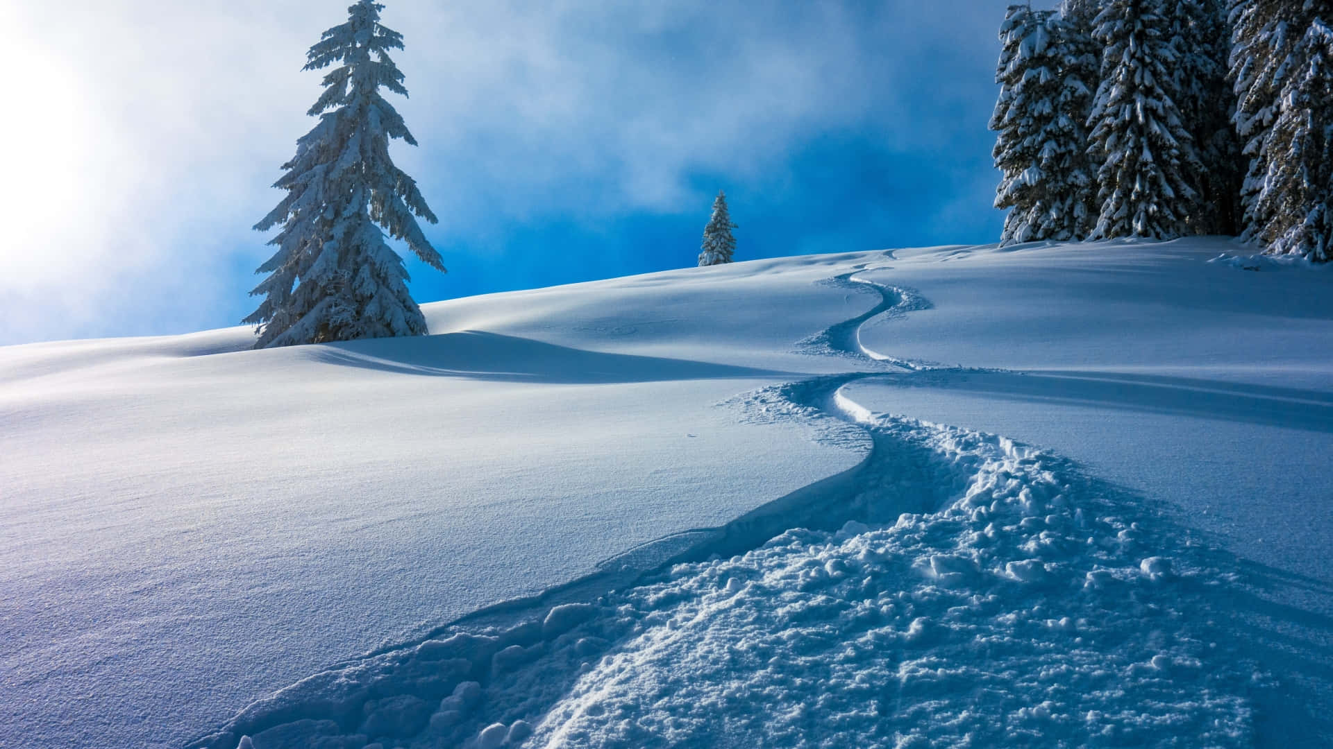 En skiløber skiløber ned ad en sne-dækket skråning Wallpaper
