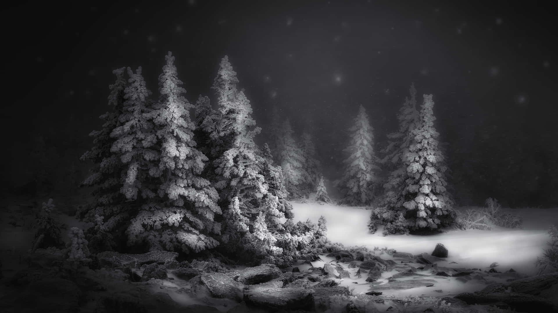 flakesEn Snefuld Skov med Træer og Snefnug Wallpaper
