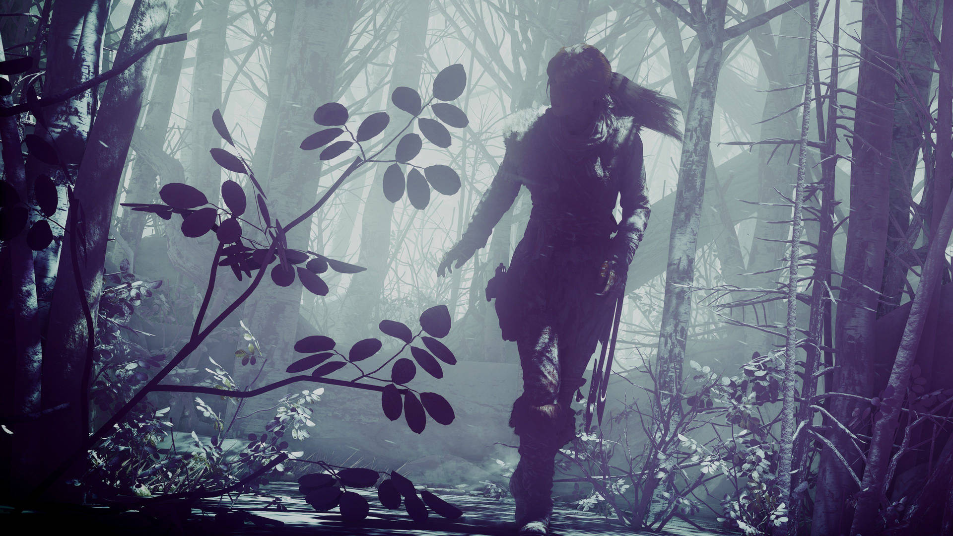 Lara Croft In Forest Tomb Raider Wallpaper
