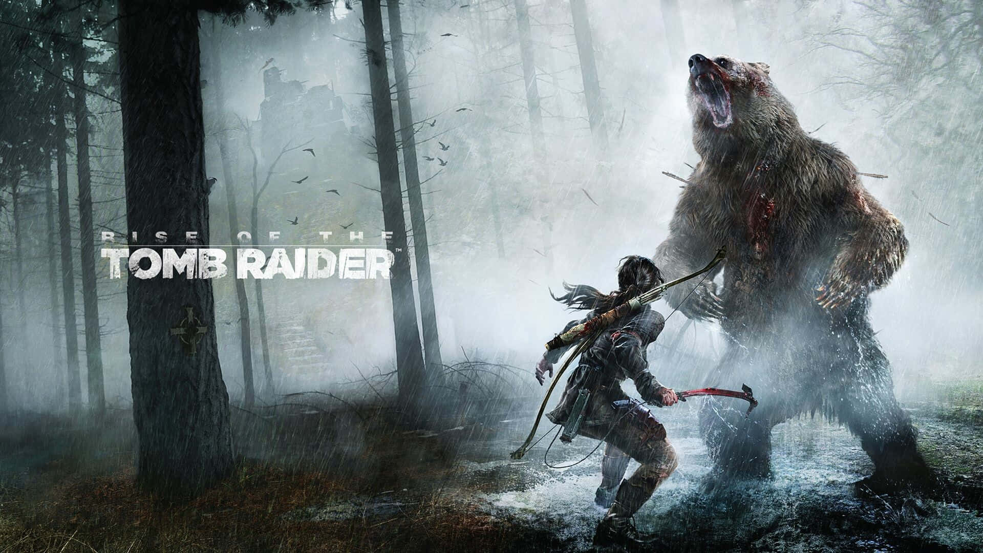 Lara Croftvs Bear Riseofthe Tomb Raider Wallpaper