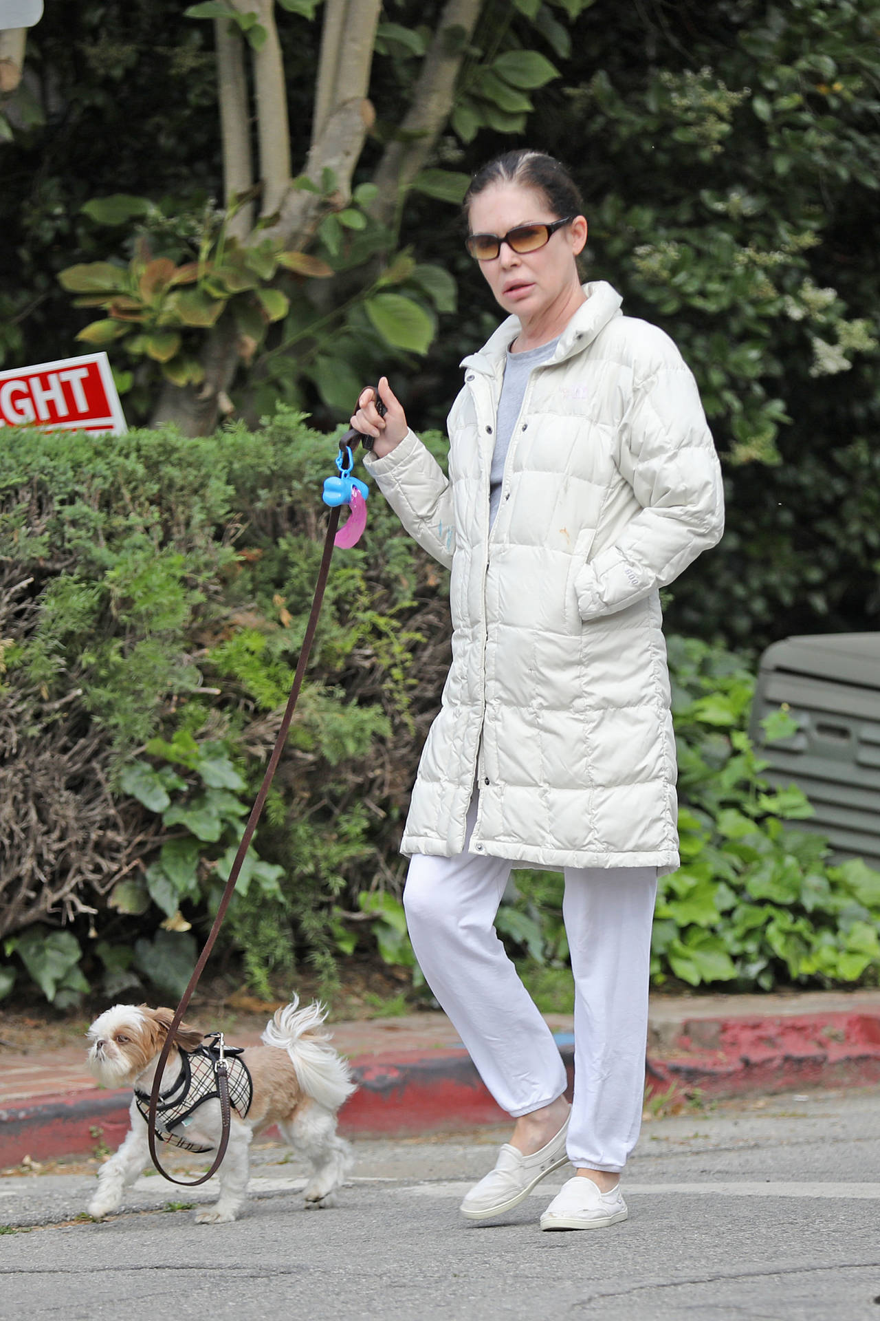 Lara Flynn Boyle Walks Her Dog Wallpaper