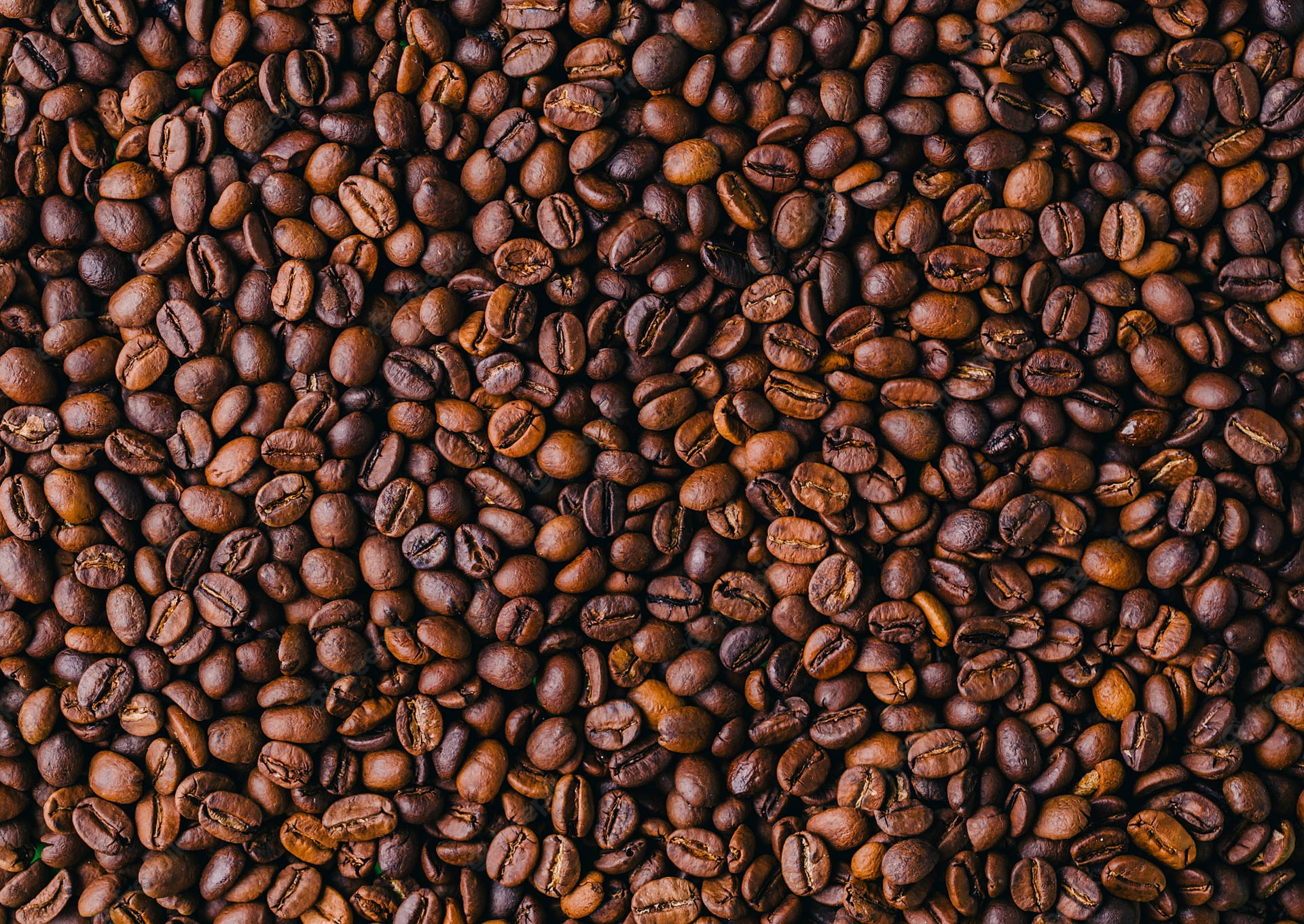 Large Area Of Coffee Beans Picture