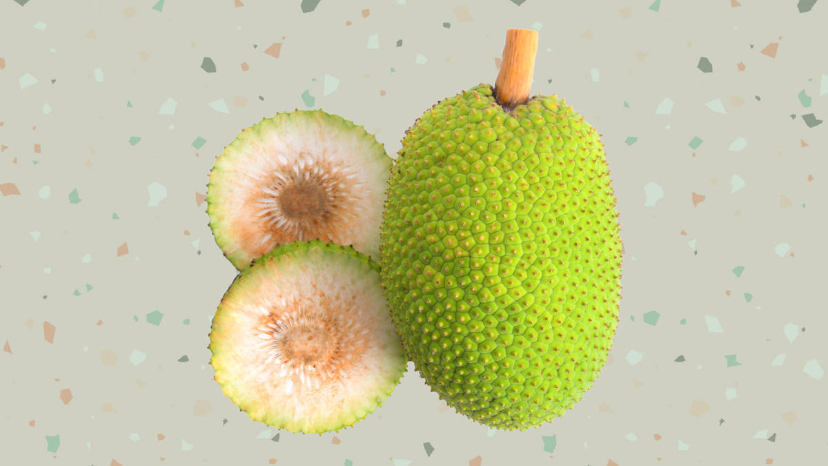 Sliced Breadfruit - The Tropical Delight Wallpaper